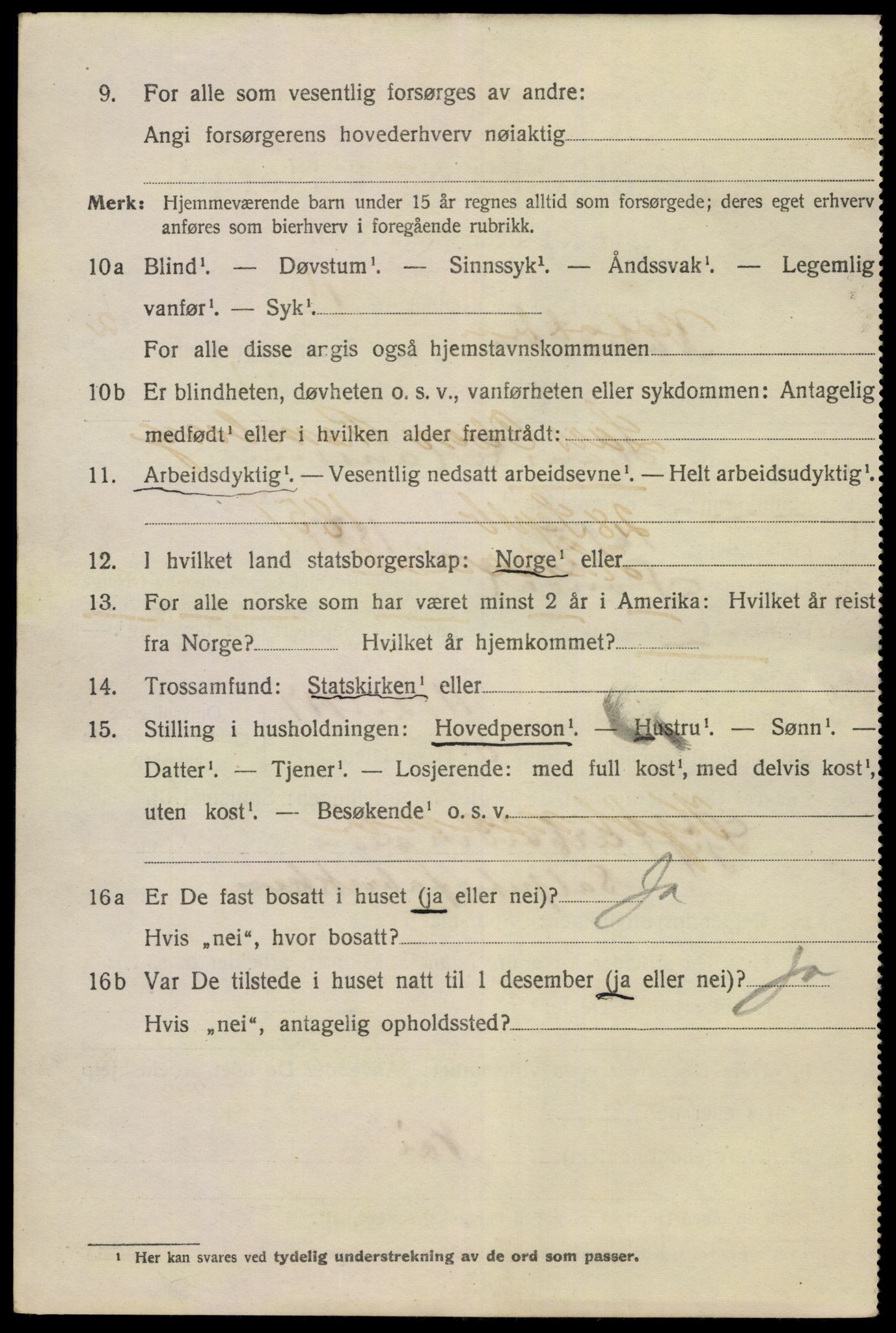 SAKO, 1920 census for Notodden, 1920, p. 8297