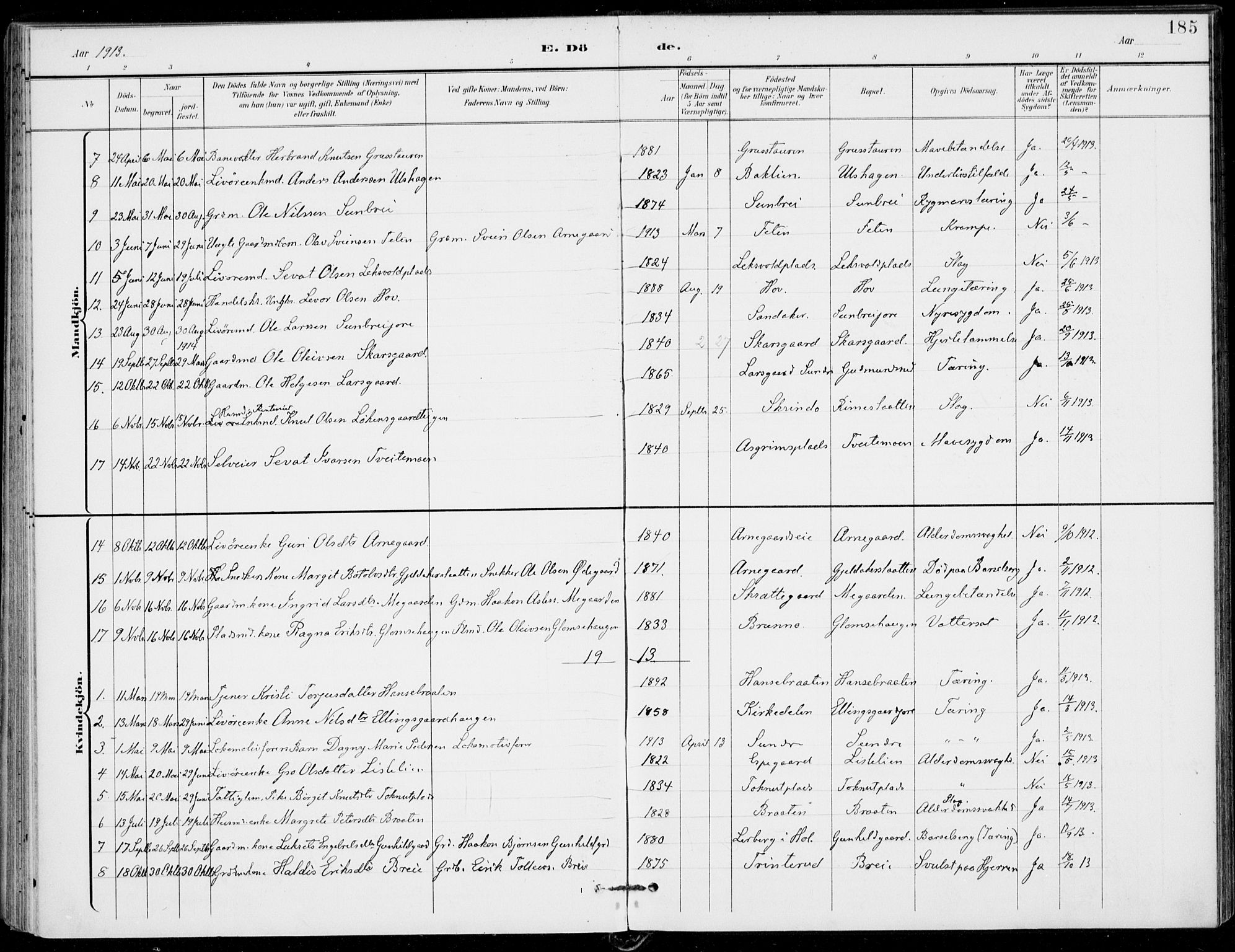 Ål kirkebøker, AV/SAKO-A-249/F/Fa/L0009: Parish register (official) no. I 9, 1897-1915, p. 185