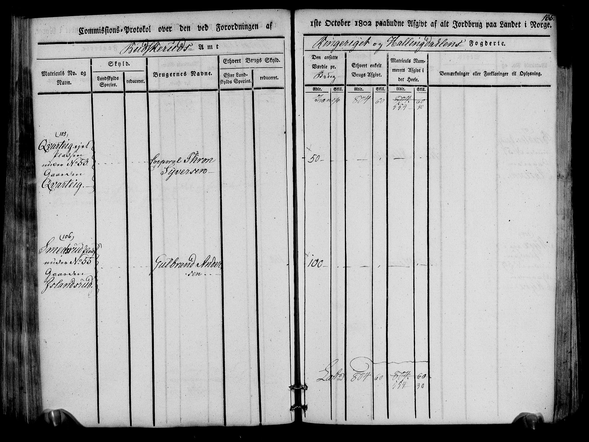 Rentekammeret inntil 1814, Realistisk ordnet avdeling, RA/EA-4070/N/Ne/Nea/L0047: Ringerike og Hallingdal fogderi. Kommisjonsprotokoll for Nes prestegjeld, 1803, p. 138