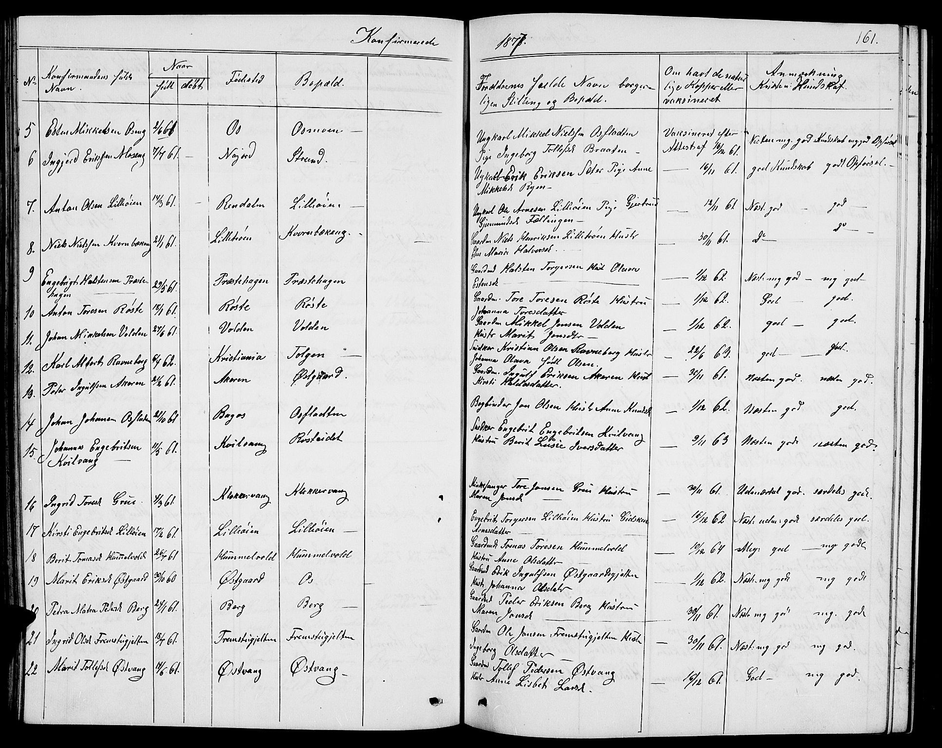 Tolga prestekontor, AV/SAH-PREST-062/L/L0004: Parish register (copy) no. 4, 1845-1887, p. 161