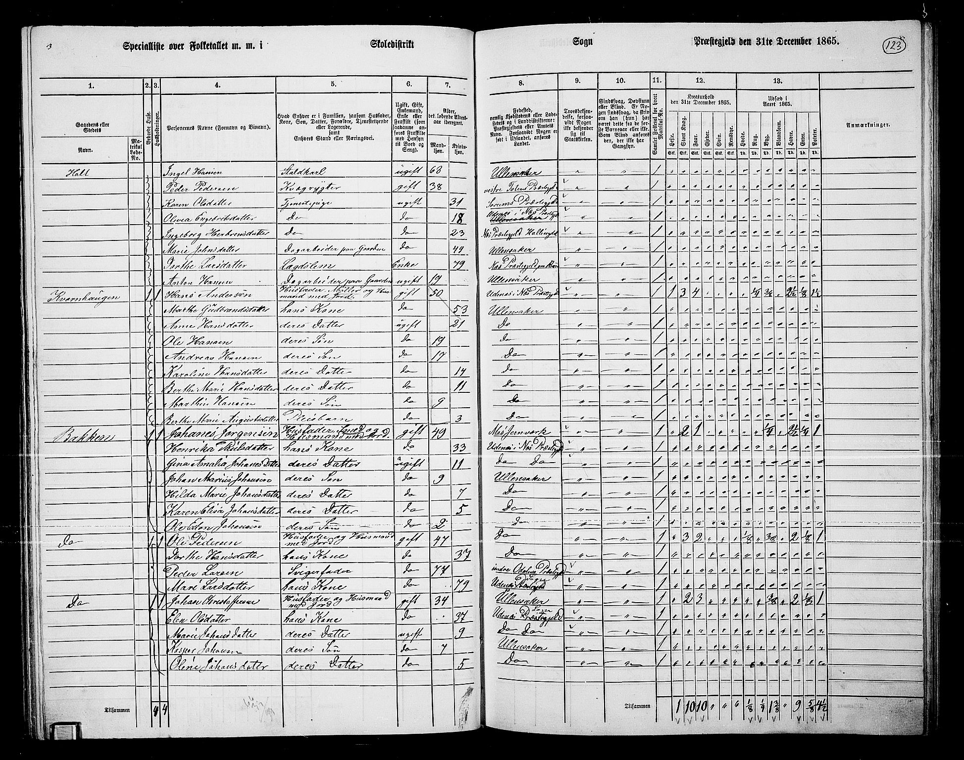 RA, 1865 census for Ullensaker, 1865, p. 107