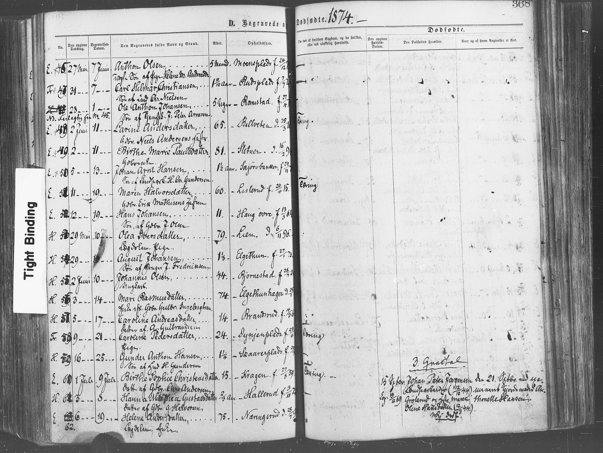 Eidsberg prestekontor Kirkebøker, SAO/A-10905/F/Fa/L0011: Parish register (official) no. I 11, 1867-1878, p. 368