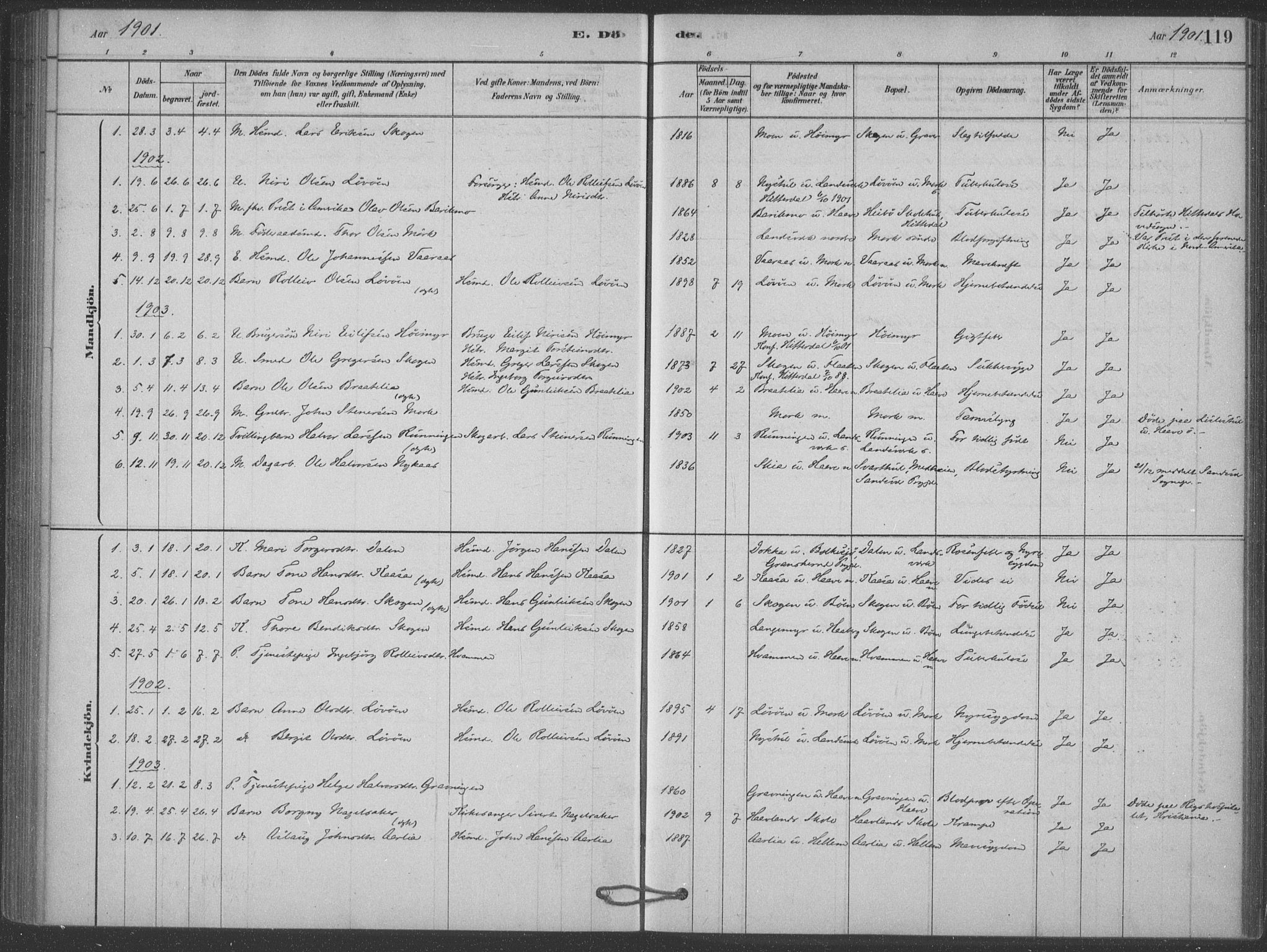 Heddal kirkebøker, SAKO/A-268/F/Fb/L0002: Parish register (official) no. II 2, 1878-1913, p. 119