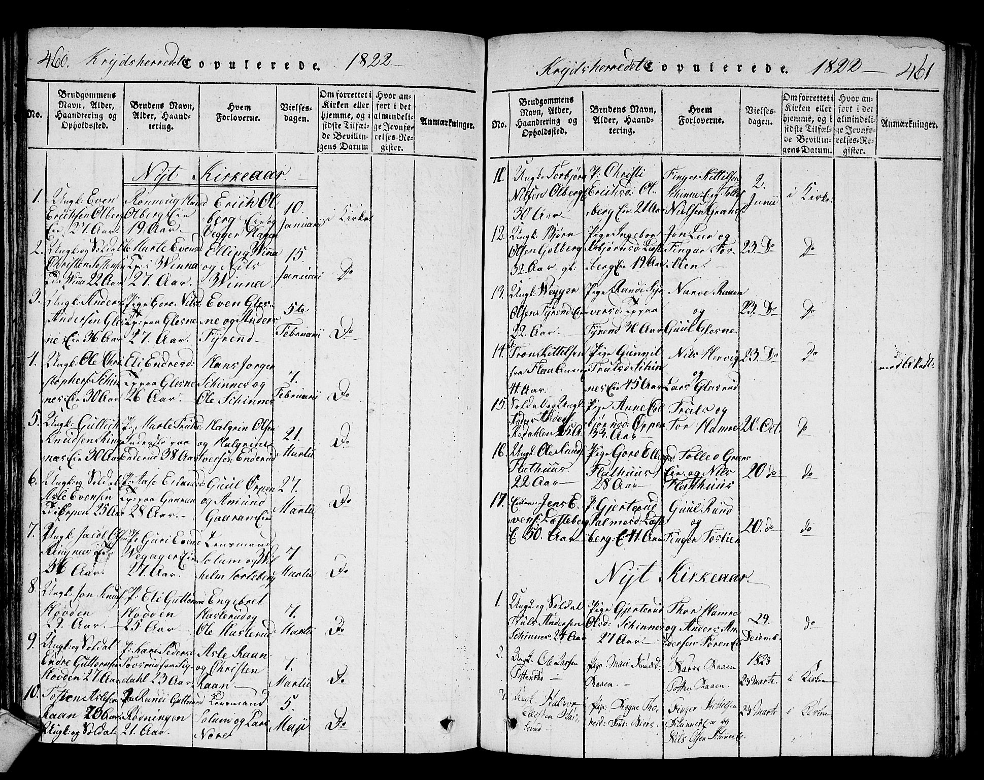 Sigdal kirkebøker, AV/SAKO-A-245/F/Fa/L0005: Parish register (official) no. I 5 /3, 1815-1829, p. 460-461