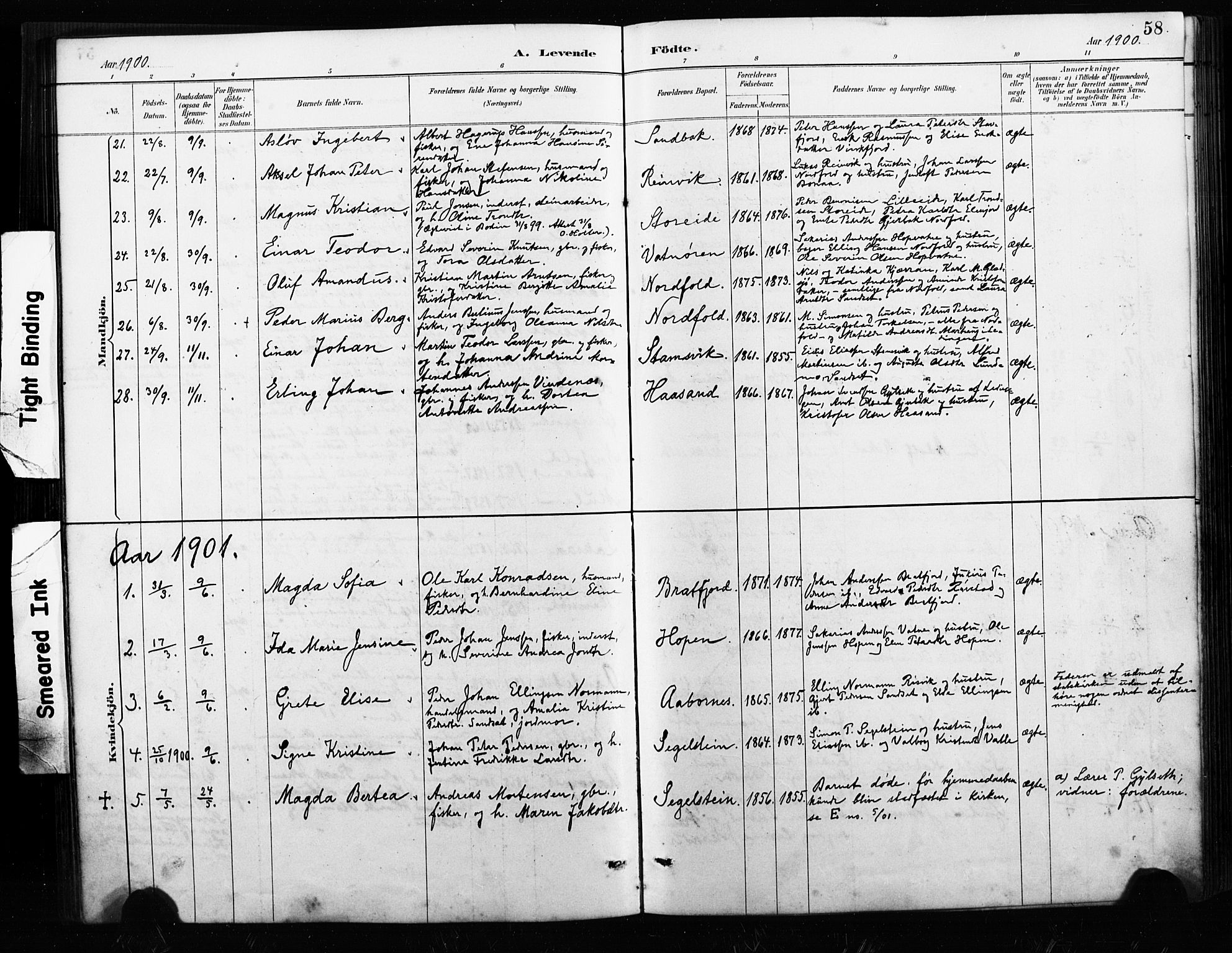 Ministerialprotokoller, klokkerbøker og fødselsregistre - Nordland, AV/SAT-A-1459/858/L0834: Parish register (copy) no. 858C01, 1884-1904, p. 58