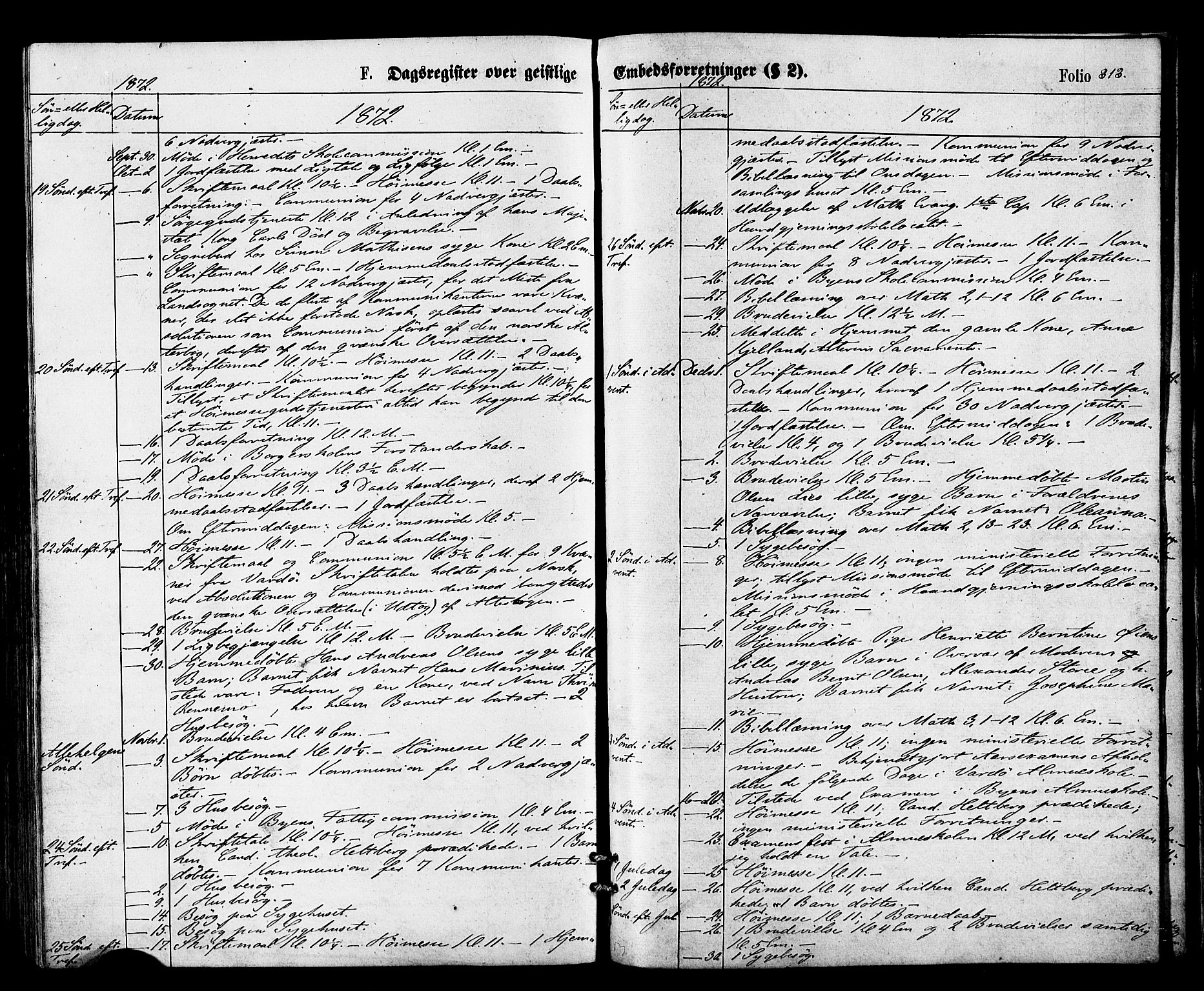 Vardø sokneprestkontor, AV/SATØ-S-1332/H/Ha/L0005kirke: Parish register (official) no. 5, 1872-1878, p. 313