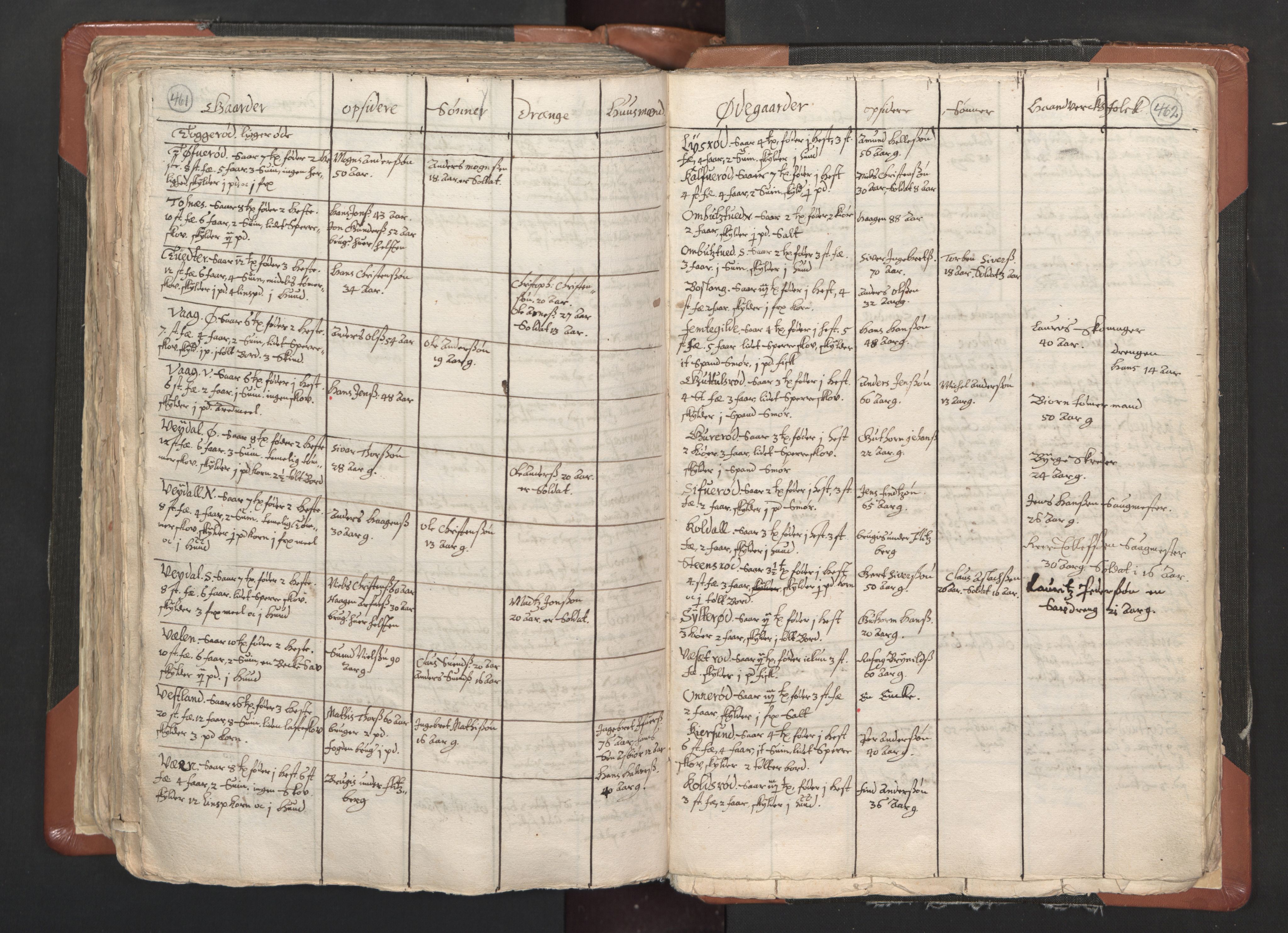 RA, Vicar's Census 1664-1666, no. 1: Nedre Borgesyssel deanery, 1664-1666, p. 461-462