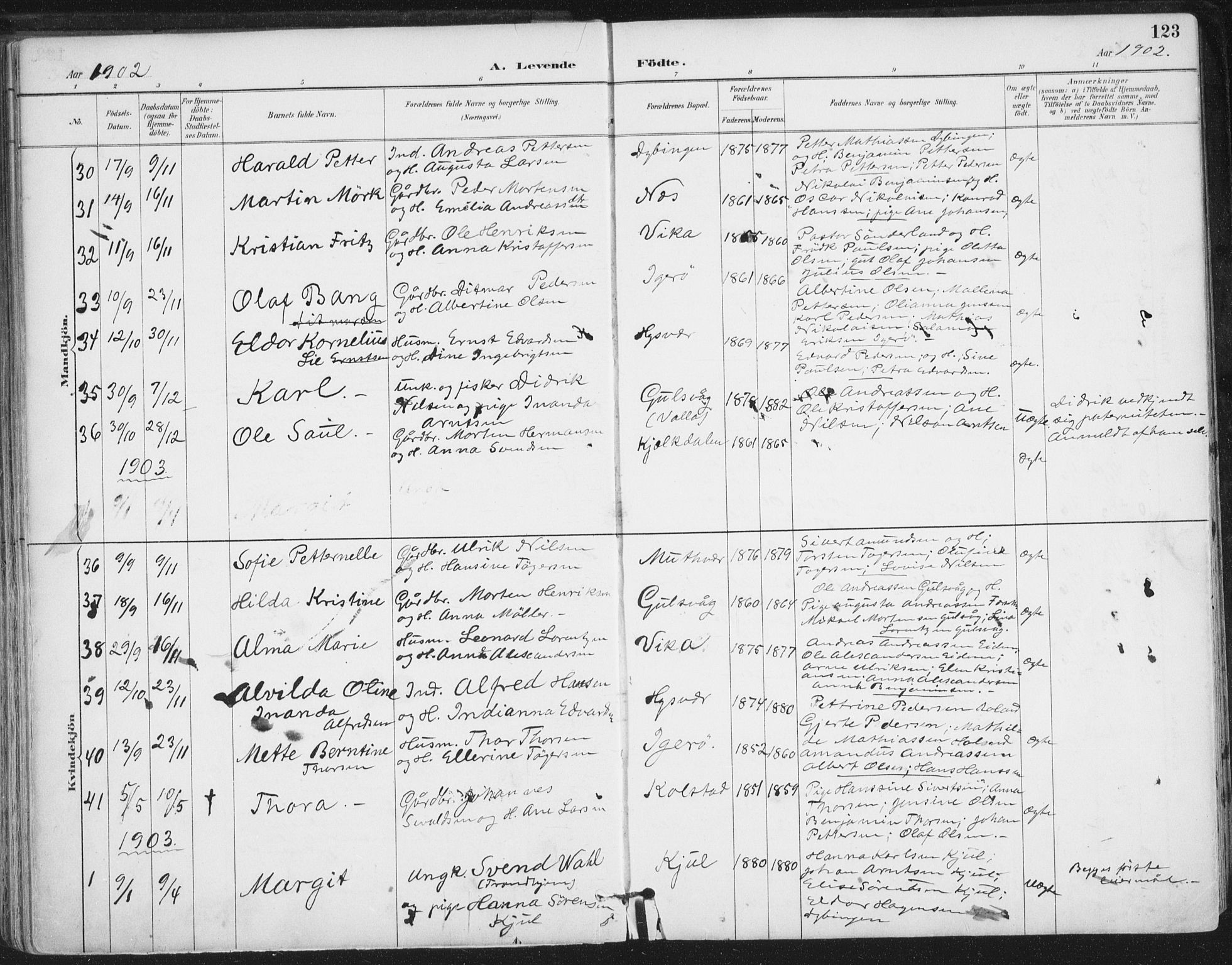 Ministerialprotokoller, klokkerbøker og fødselsregistre - Nordland, AV/SAT-A-1459/816/L0244: Parish register (official) no. 816A10, 1886-1903, p. 123