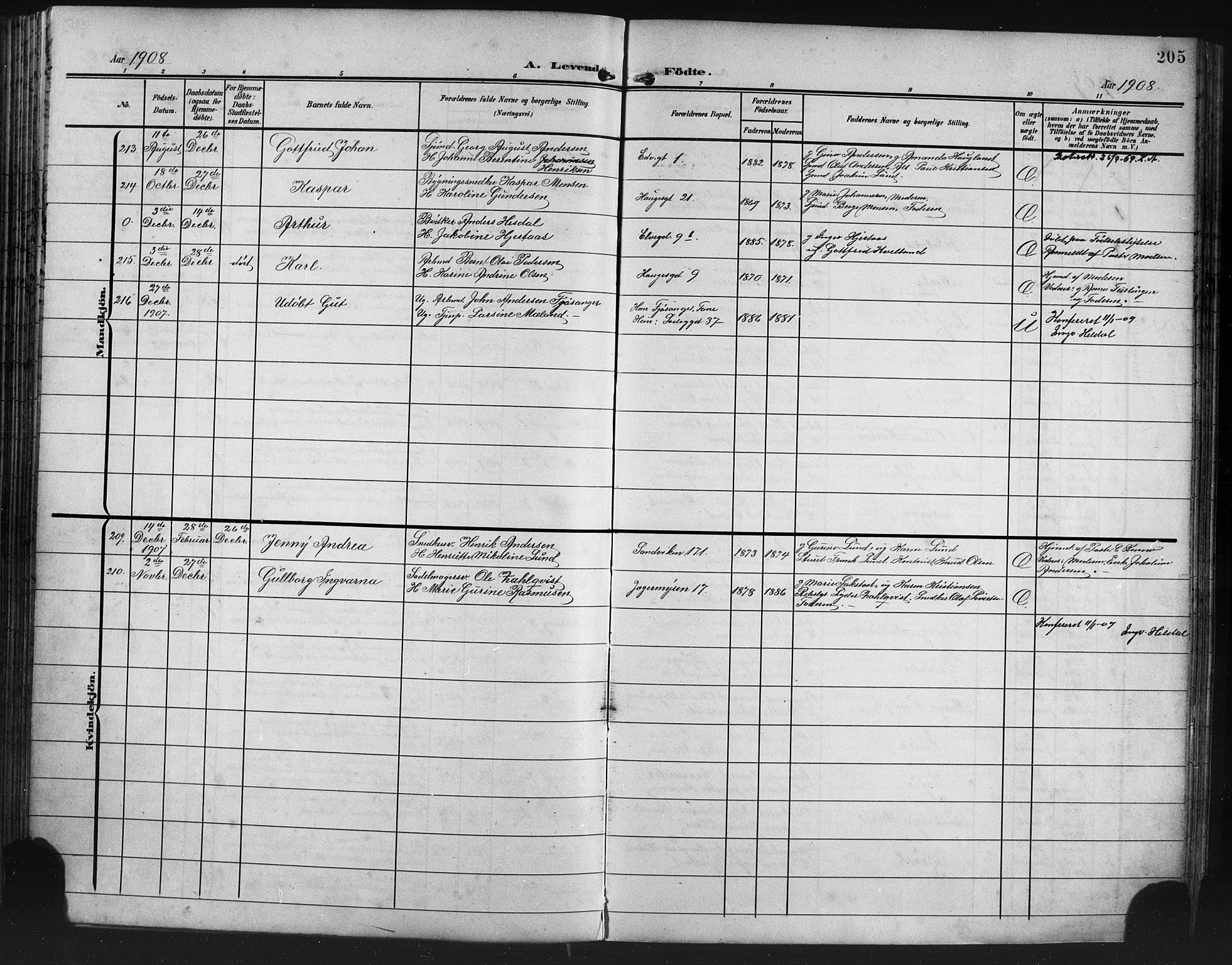 Sandviken Sokneprestembete, AV/SAB-A-77601/H/Hb/L0004: Parish register (copy) no. B 1, 1901-1914, p. 205