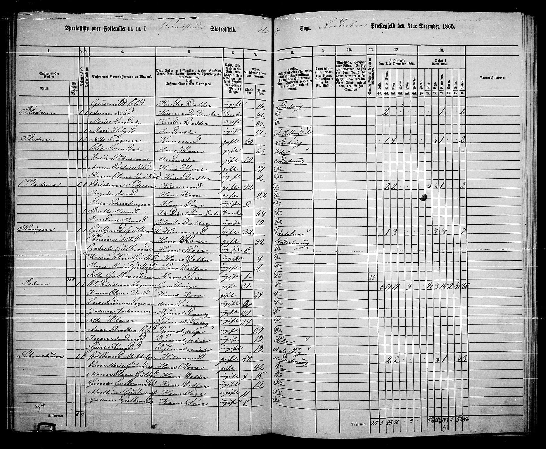 RA, 1865 census for Norderhov/Norderhov, Haug og Lunder, 1865, p. 242