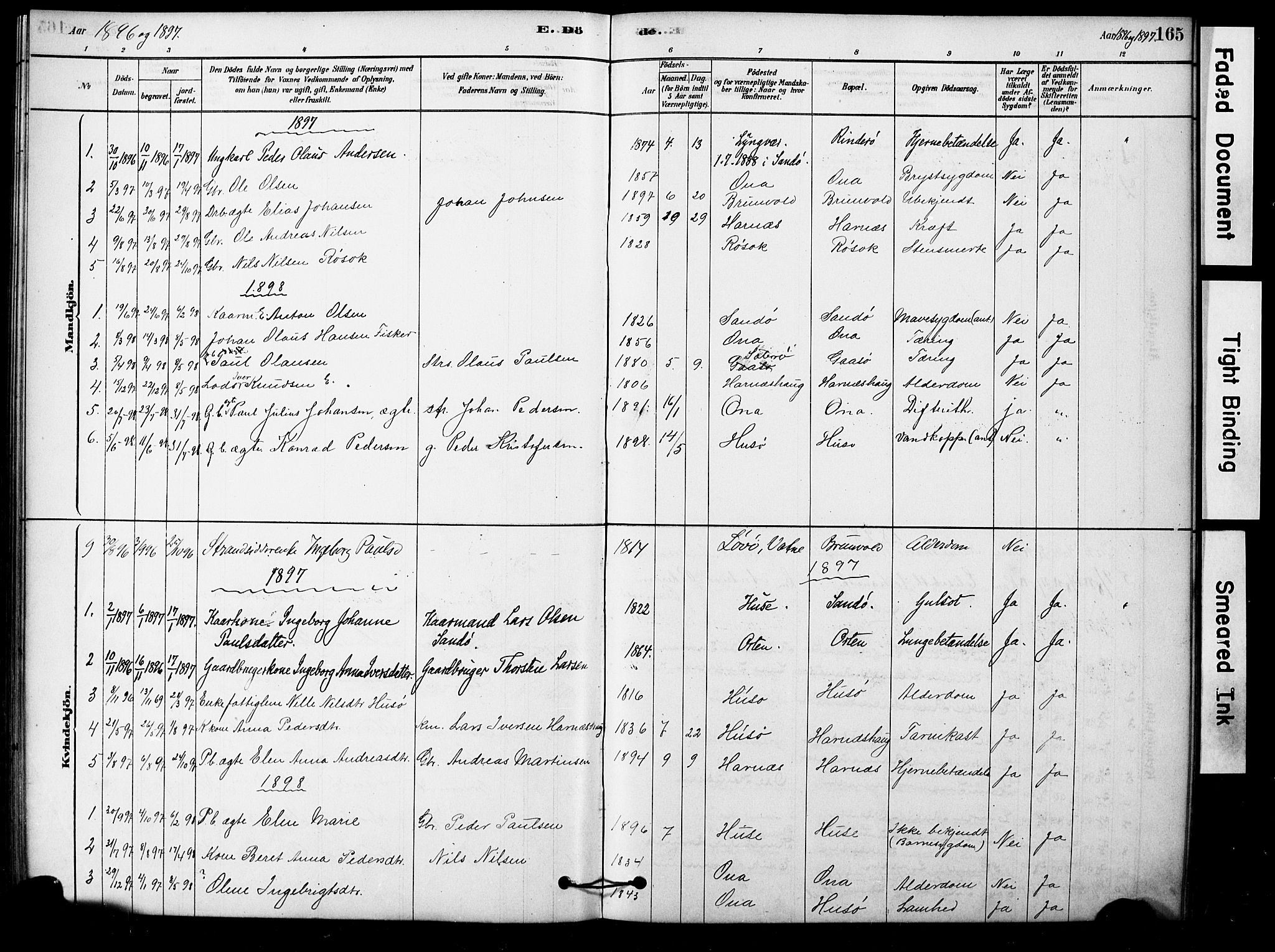 Ministerialprotokoller, klokkerbøker og fødselsregistre - Møre og Romsdal, AV/SAT-A-1454/561/L0729: Parish register (official) no. 561A03, 1878-1900, p. 165