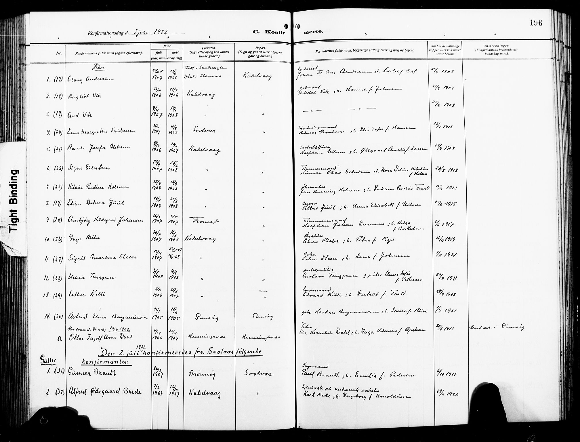 Ministerialprotokoller, klokkerbøker og fødselsregistre - Nordland, AV/SAT-A-1459/874/L1080: Parish register (copy) no. 874C09, 1915-1925, p. 196