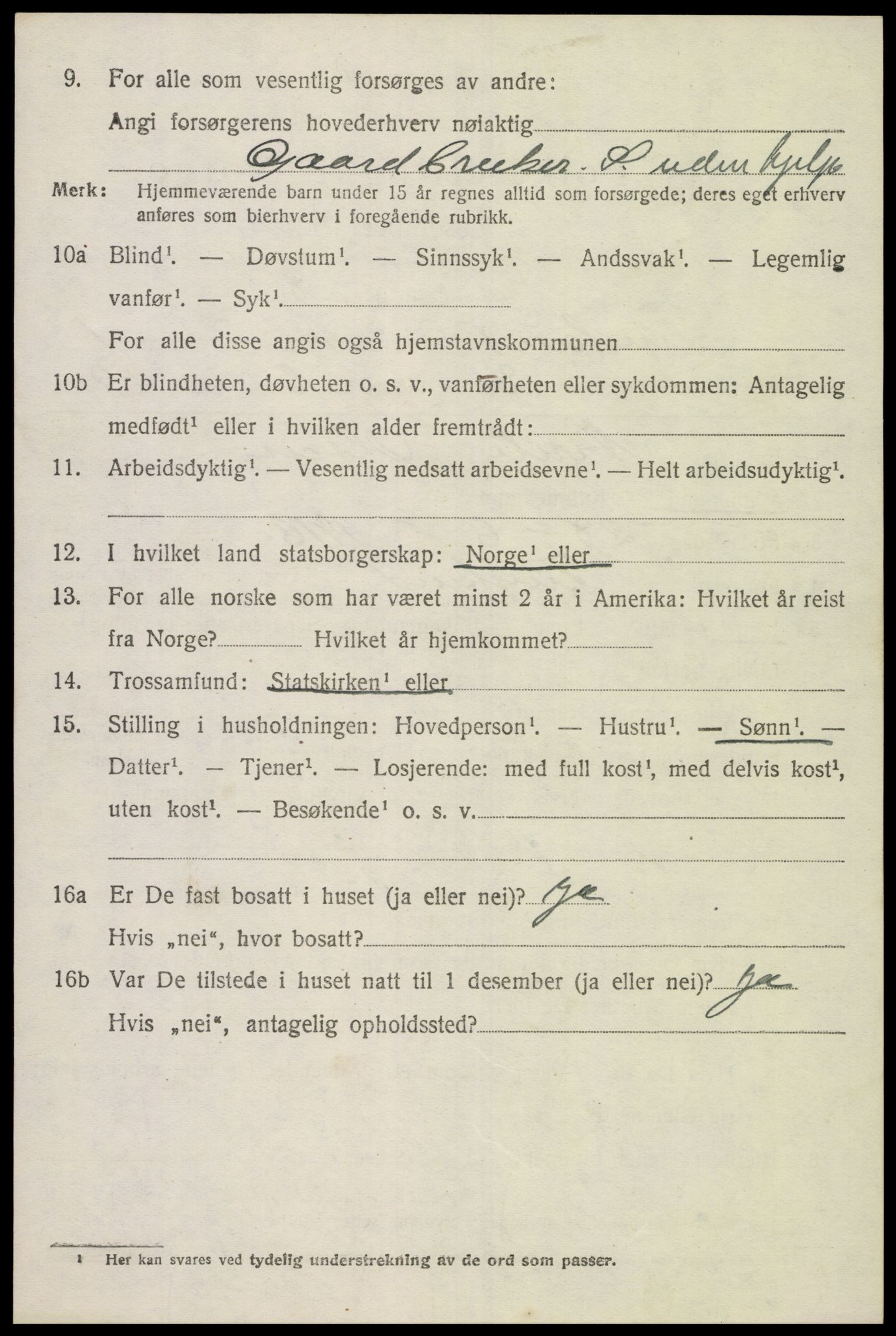 SAK, 1920 census for Finsland, 1920, p. 707