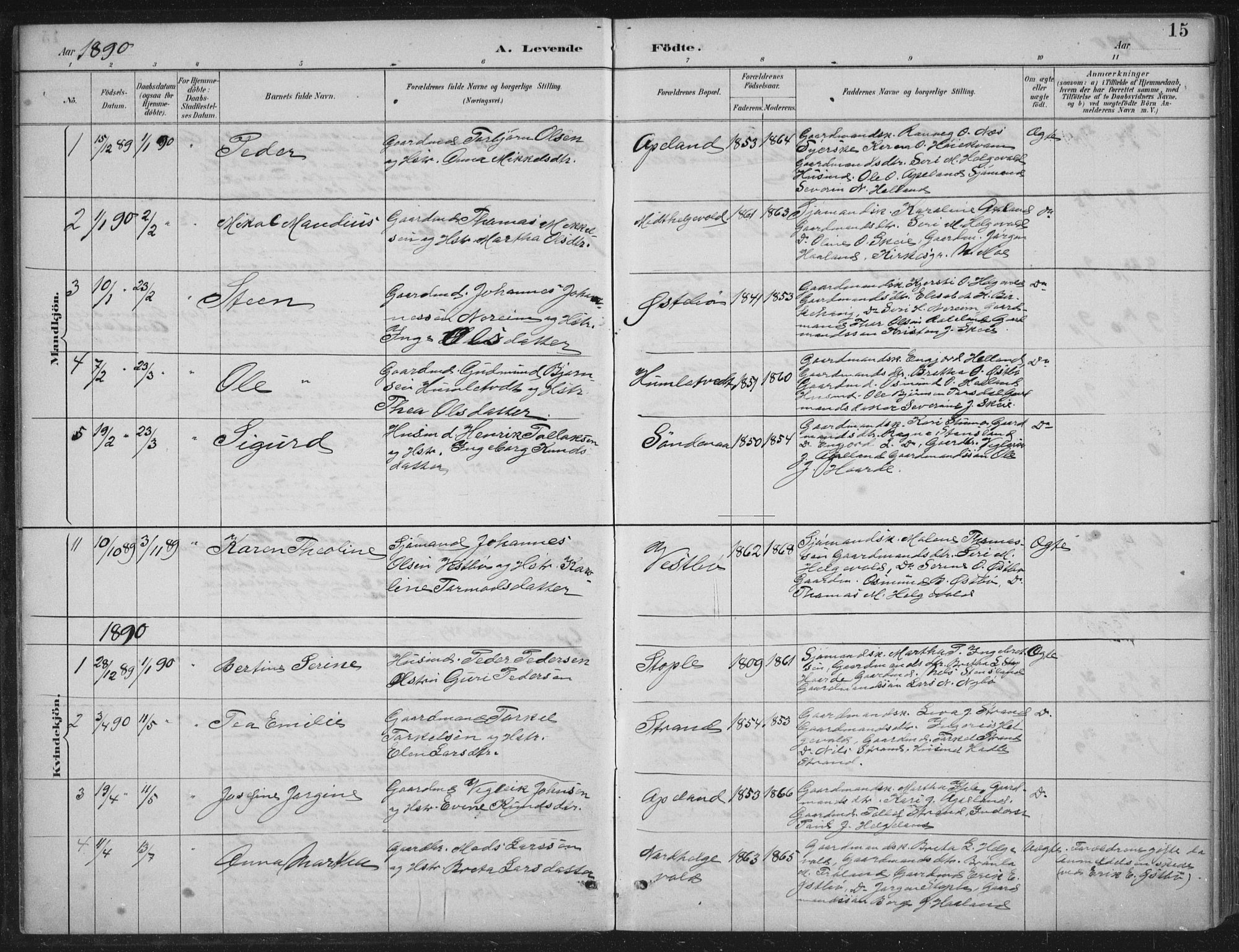 Vikedal sokneprestkontor, AV/SAST-A-101840/01/IV: Parish register (official) no. A 11, 1884-1933, p. 15