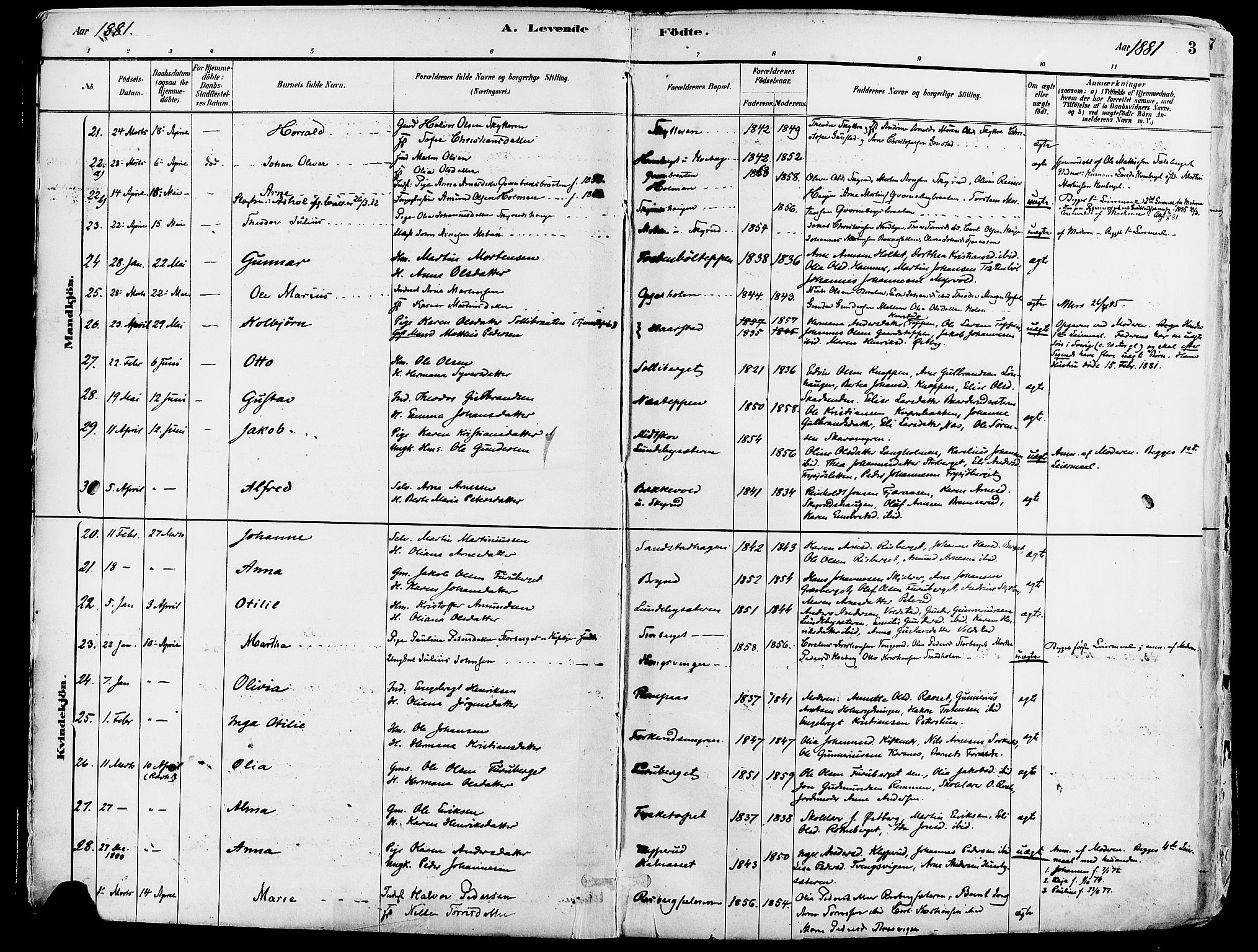 Grue prestekontor, AV/SAH-PREST-036/H/Ha/Haa/L0012: Parish register (official) no. 12, 1881-1897, p. 3