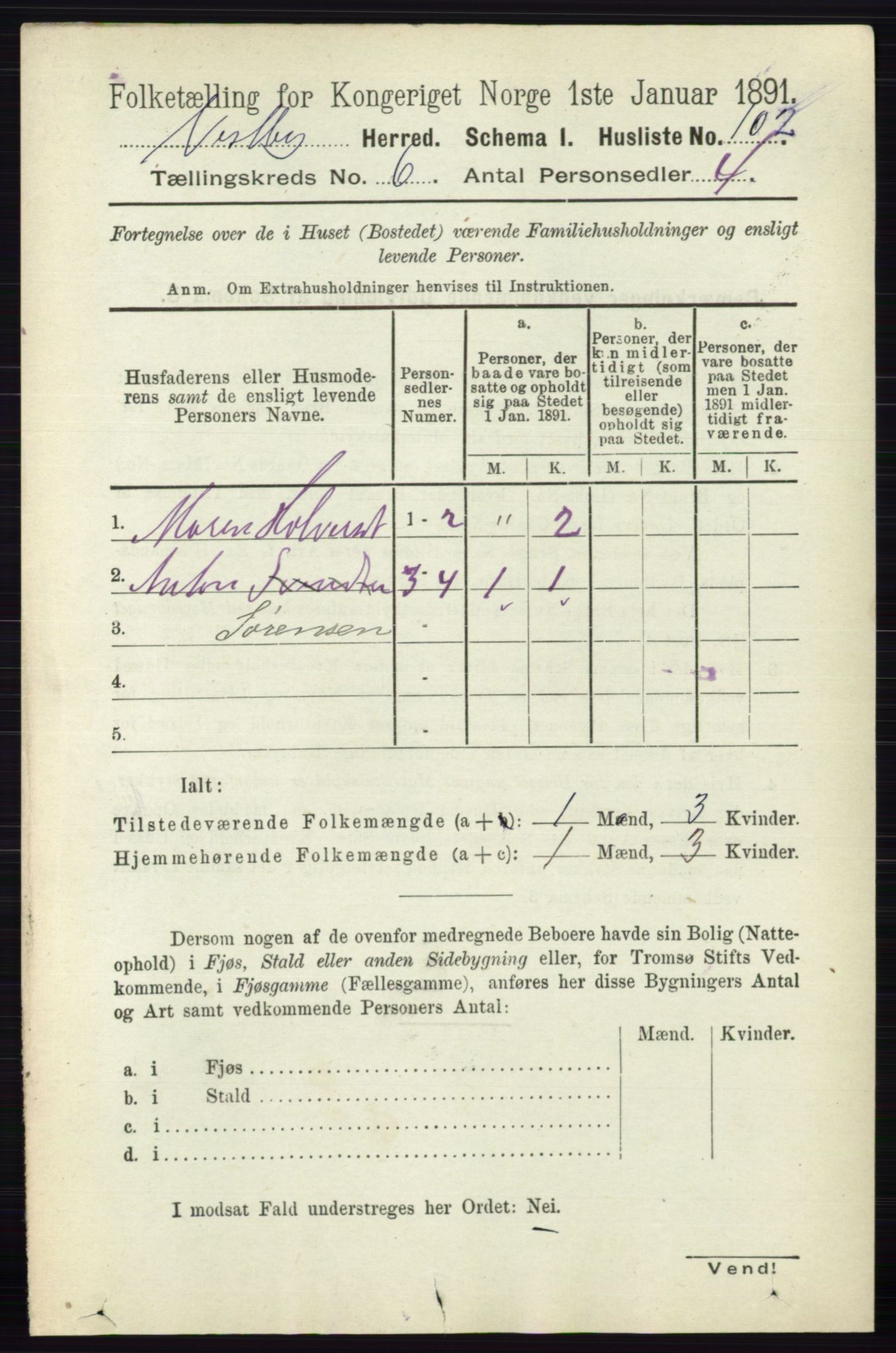 RA, 1891 census for 0211 Vestby, 1891, p. 2905