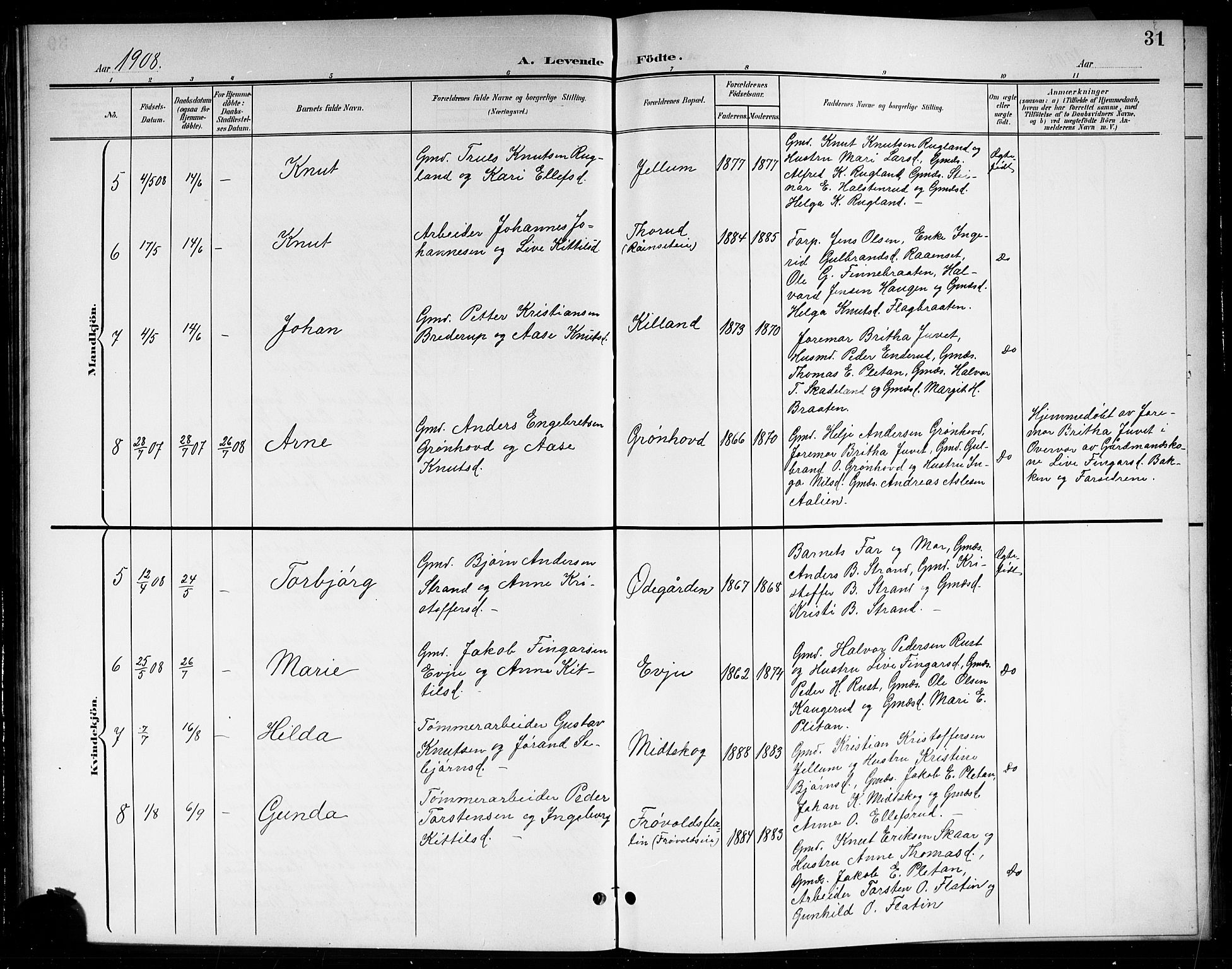 Sigdal kirkebøker, SAKO/A-245/G/Gb/L0003: Parish register (copy) no. II 3, 1901-1916, p. 31