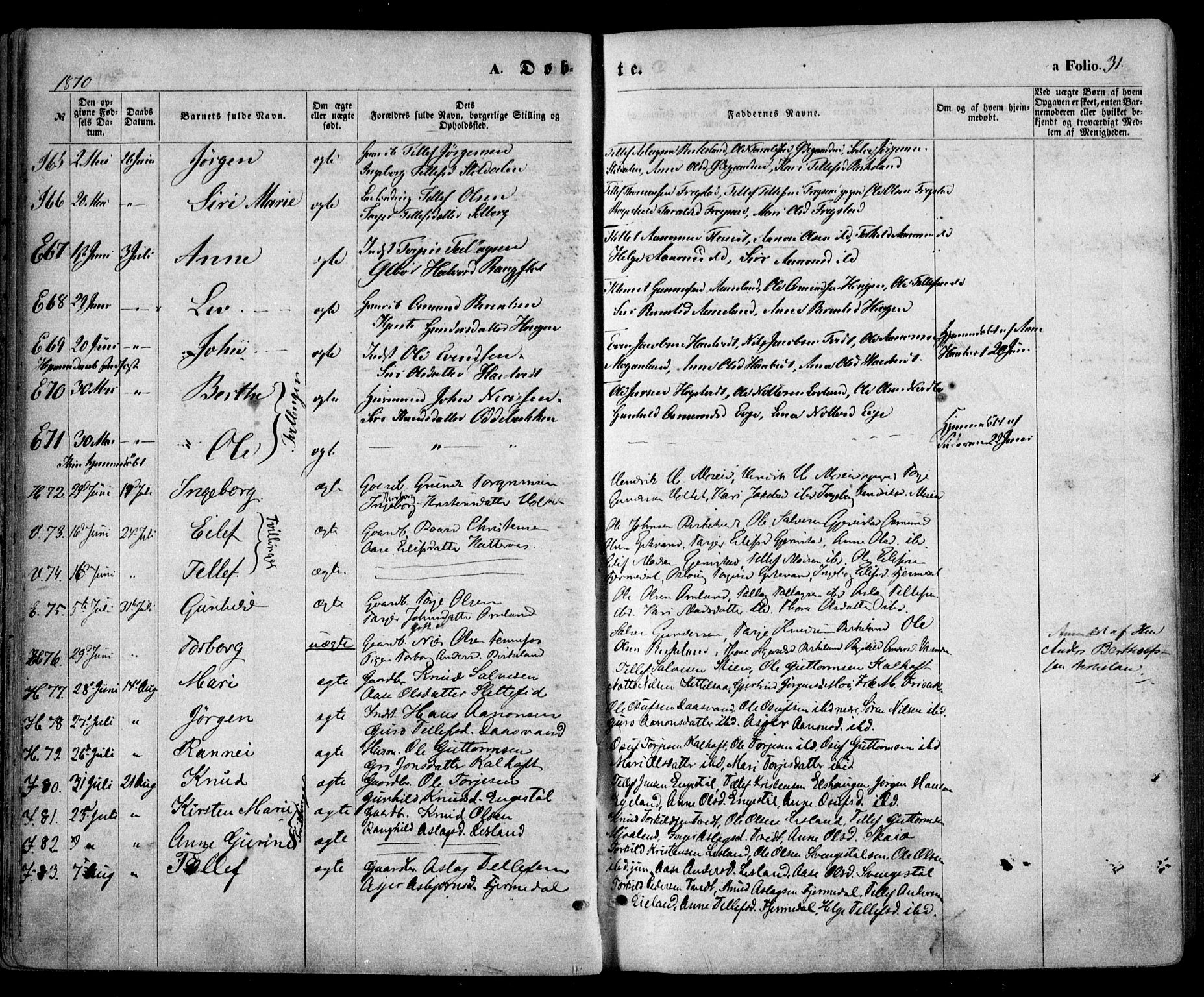 Evje sokneprestkontor, AV/SAK-1111-0008/F/Fa/Faa/L0006: Parish register (official) no. A 6, 1866-1884, p. 31
