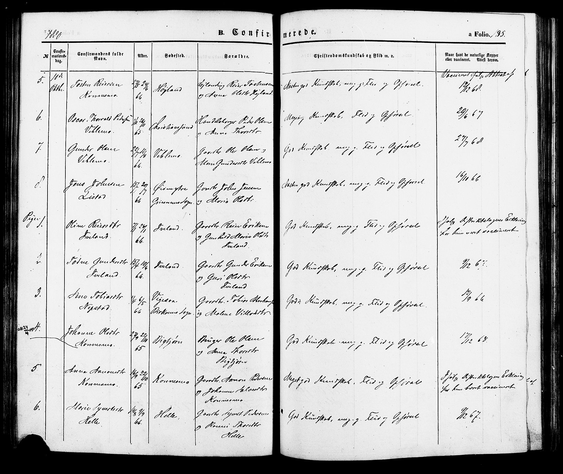 Nord-Audnedal sokneprestkontor, SAK/1111-0032/F/Fa/Faa/L0002: Parish register (official) no. A 2, 1857-1882, p. 135
