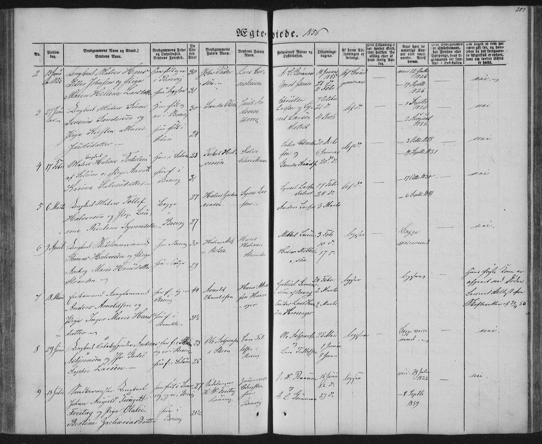 Brevik kirkebøker, SAKO/A-255/F/Fa/L0005: Parish register (official) no. 5, 1847-1865, p. 207