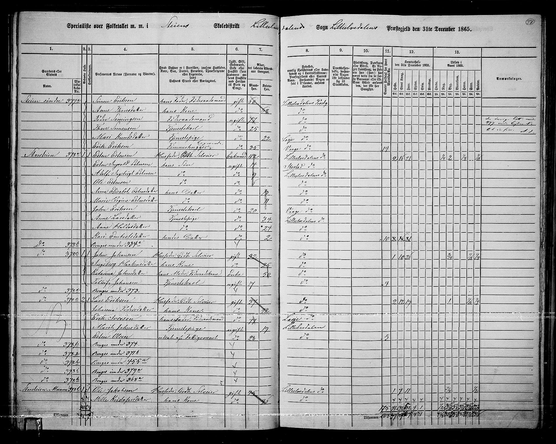 RA, 1865 census for Lille Elvedalen, 1865, p. 33