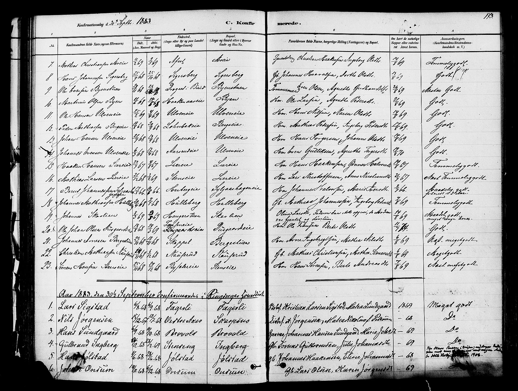 Ringsaker prestekontor, SAH/PREST-014/K/Ka/L0012: Parish register (official) no. 12, 1879-1890, p. 173