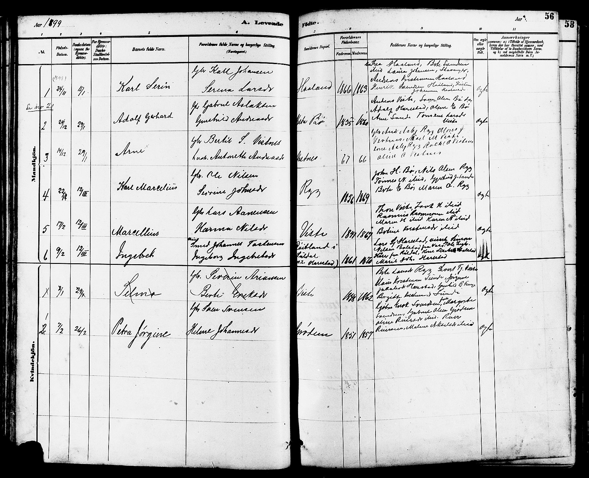 Hetland sokneprestkontor, SAST/A-101826/30/30BB/L0006: Parish register (copy) no. B 6, 1878-1921, p. 56