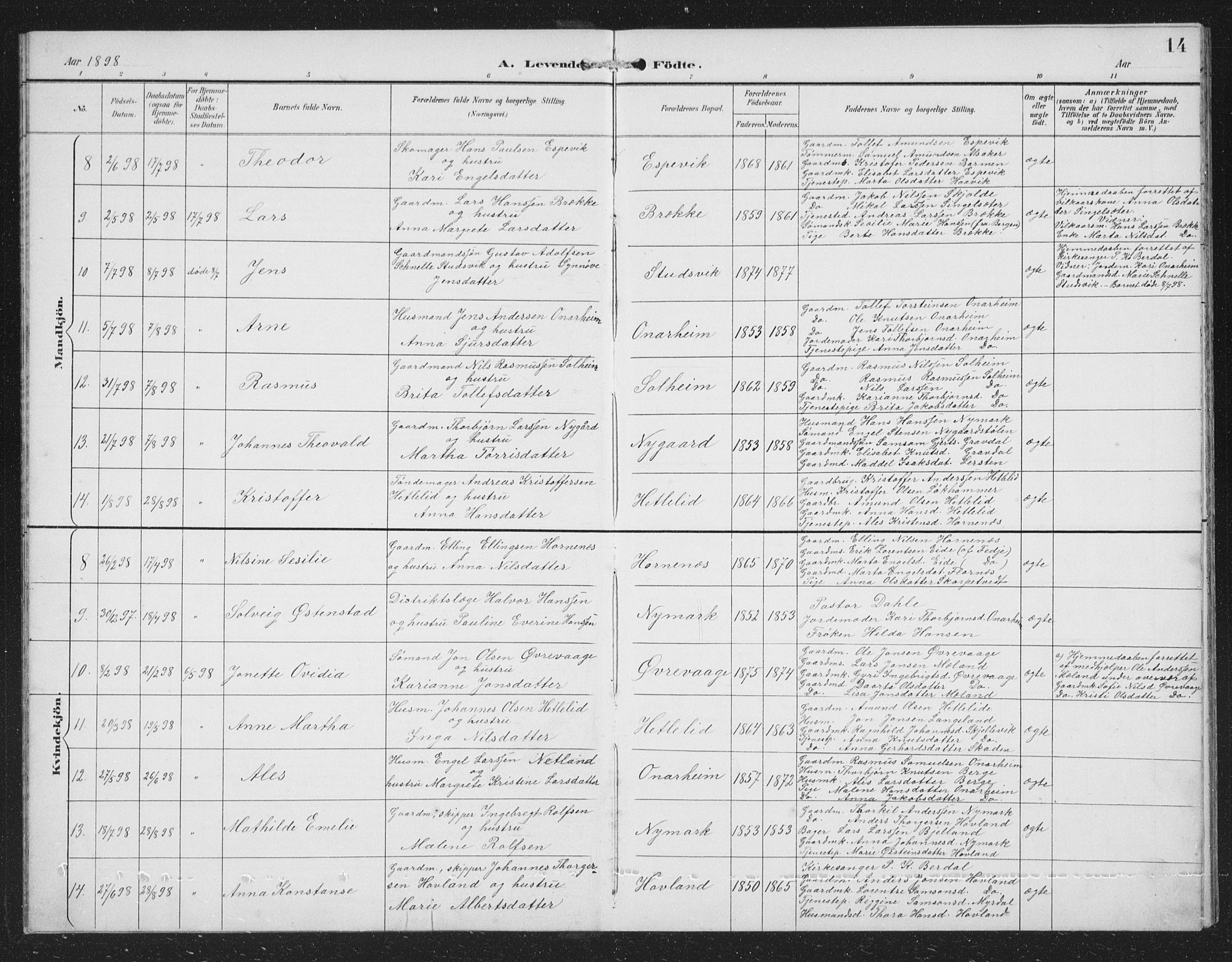 Tysnes sokneprestembete, SAB/A-78601/H/Hab: Parish register (copy) no. C 2, 1896-1907, p. 14