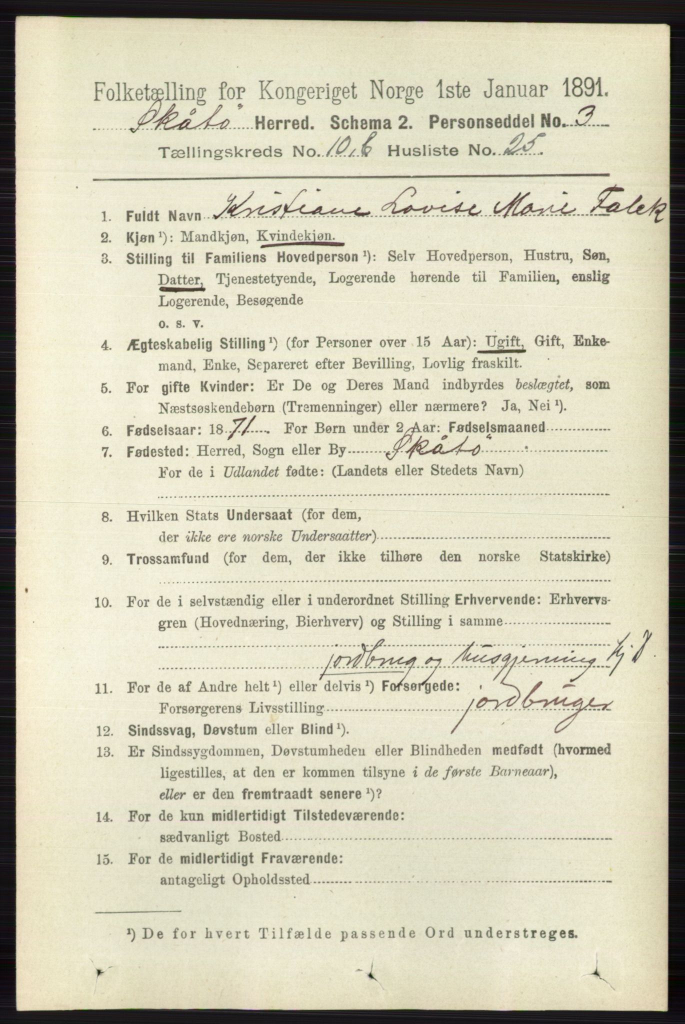 RA, 1891 census for 0815 Skåtøy, 1891, p. 4191