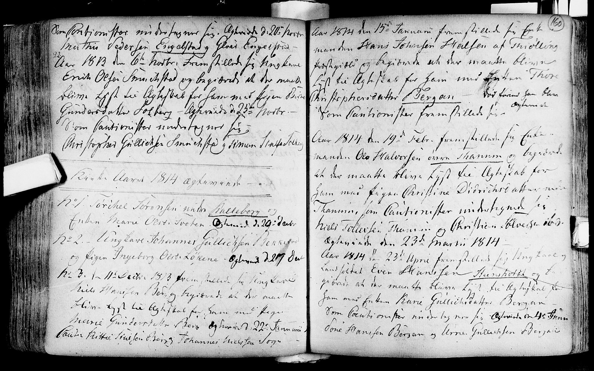 Lardal kirkebøker, SAKO/A-350/F/Fa/L0004: Parish register (official) no. i 4, 1733-1815, p. 160