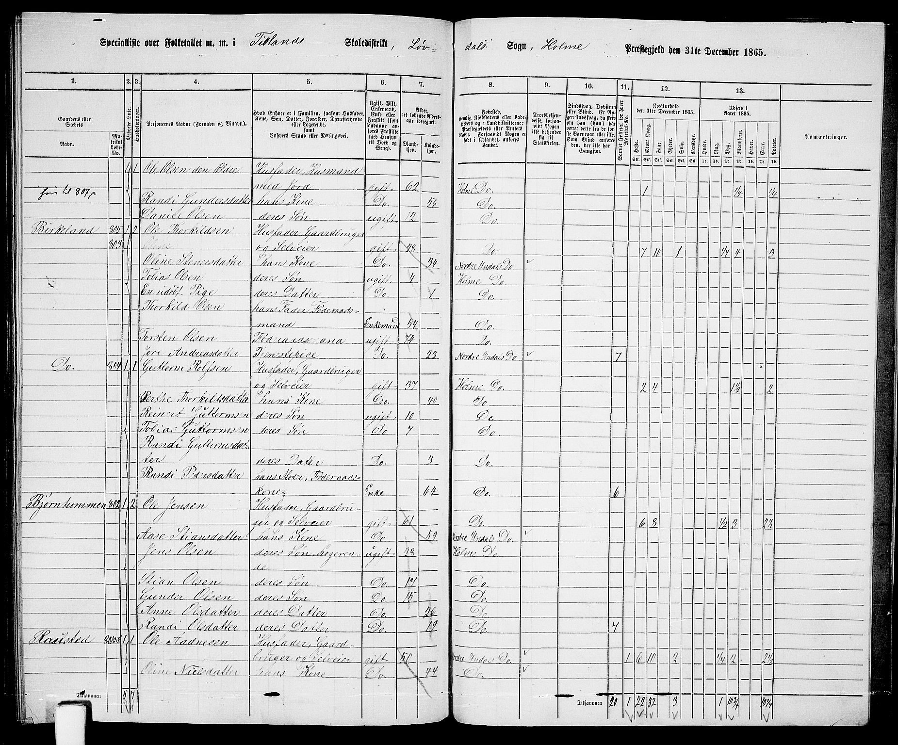 RA, 1865 census for Holum, 1865, p. 166