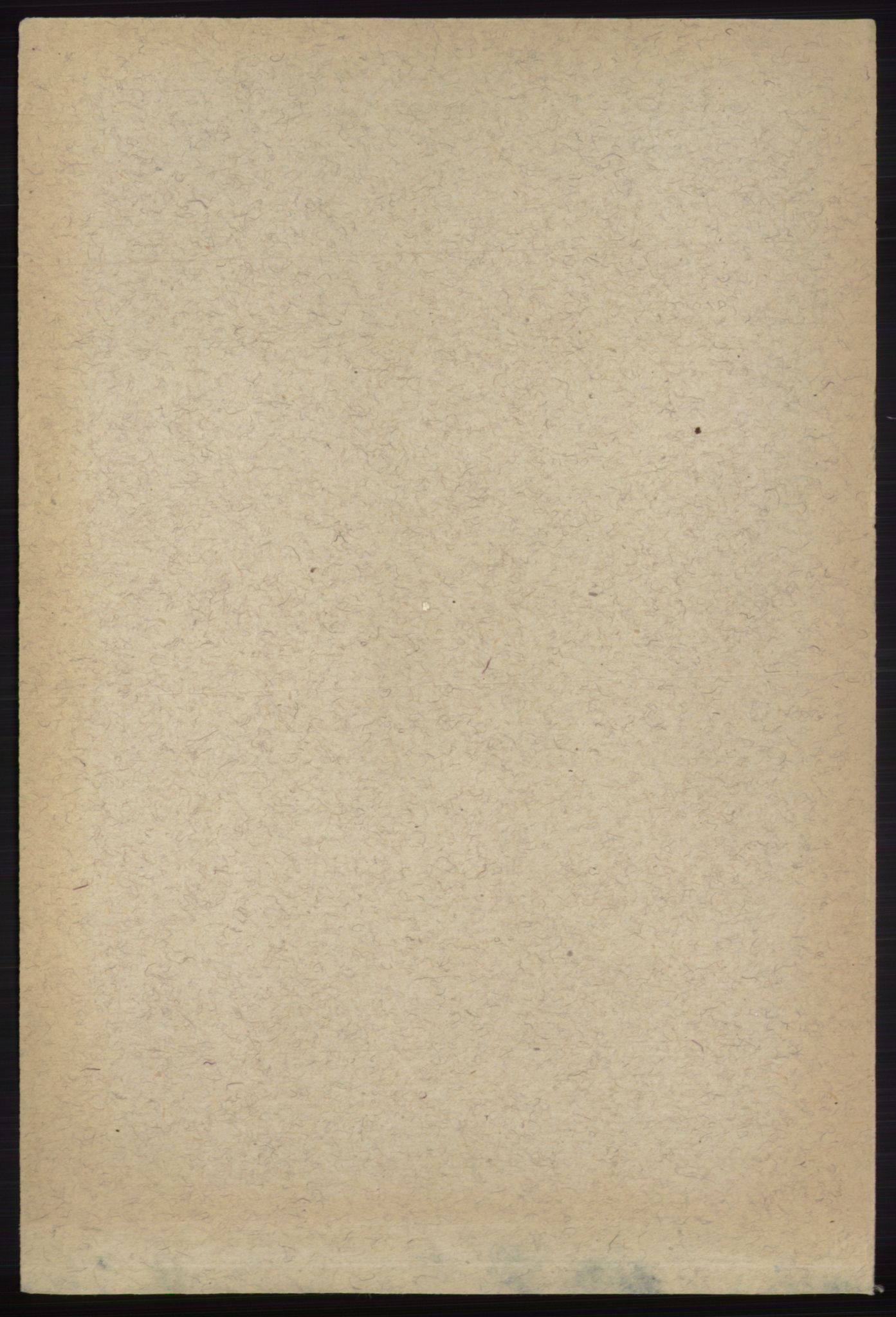 RA, 1891 census for 0712 Skoger, 1891, p. 4766