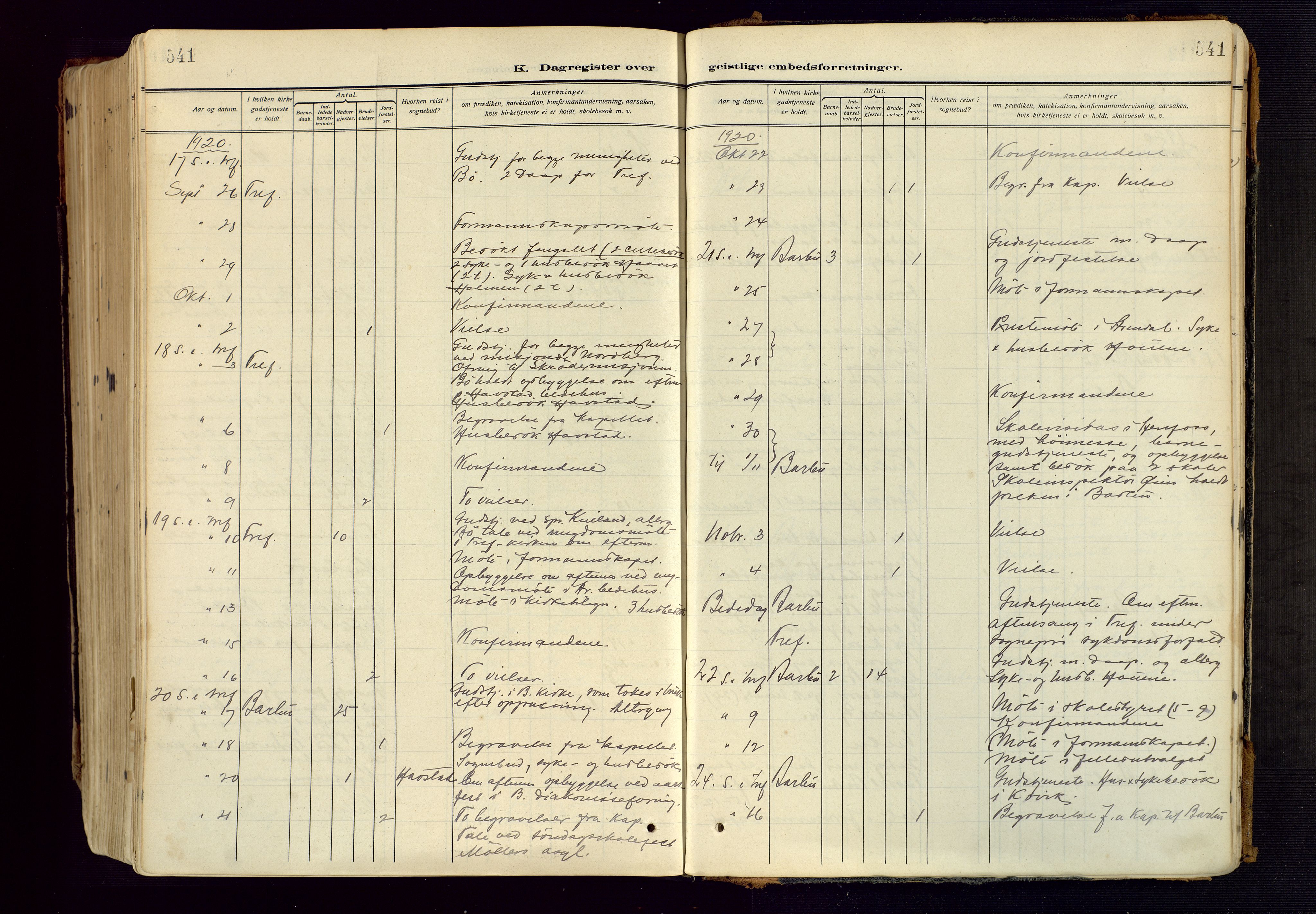 Barbu sokneprestkontor, AV/SAK-1111-0003/F/Fa/L0006: Parish register (official) no. A 6, 1910-1929, p. 541