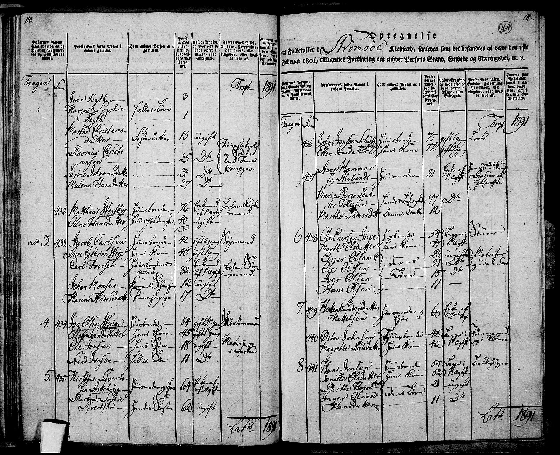 RA, 1801 census for 0602P Bragernes, 1801, p. 863b-864a