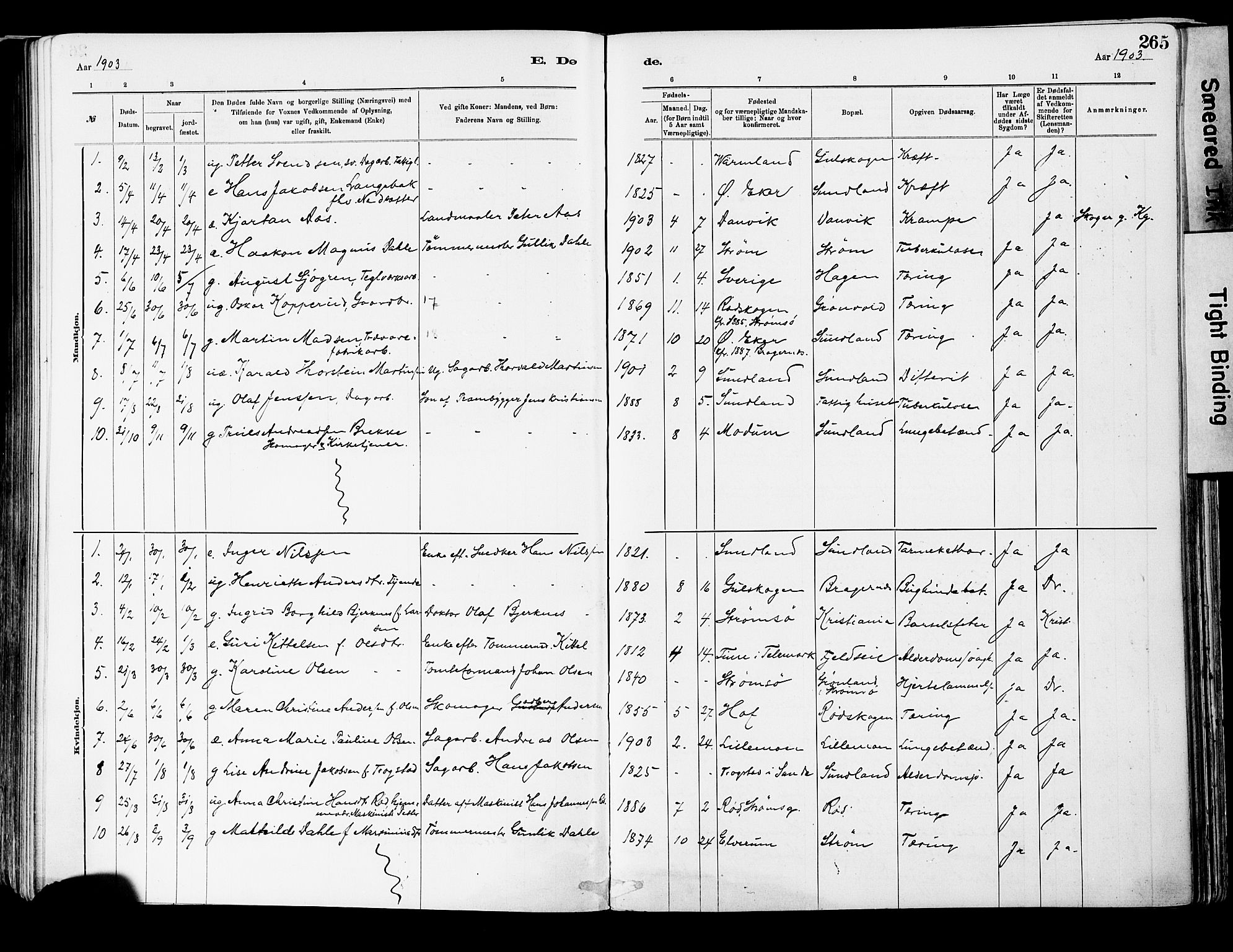 Strømsgodset kirkebøker, SAKO/A-324/F/Fa/L0001: Parish register (official) no. 1, 1885-1909, p. 265