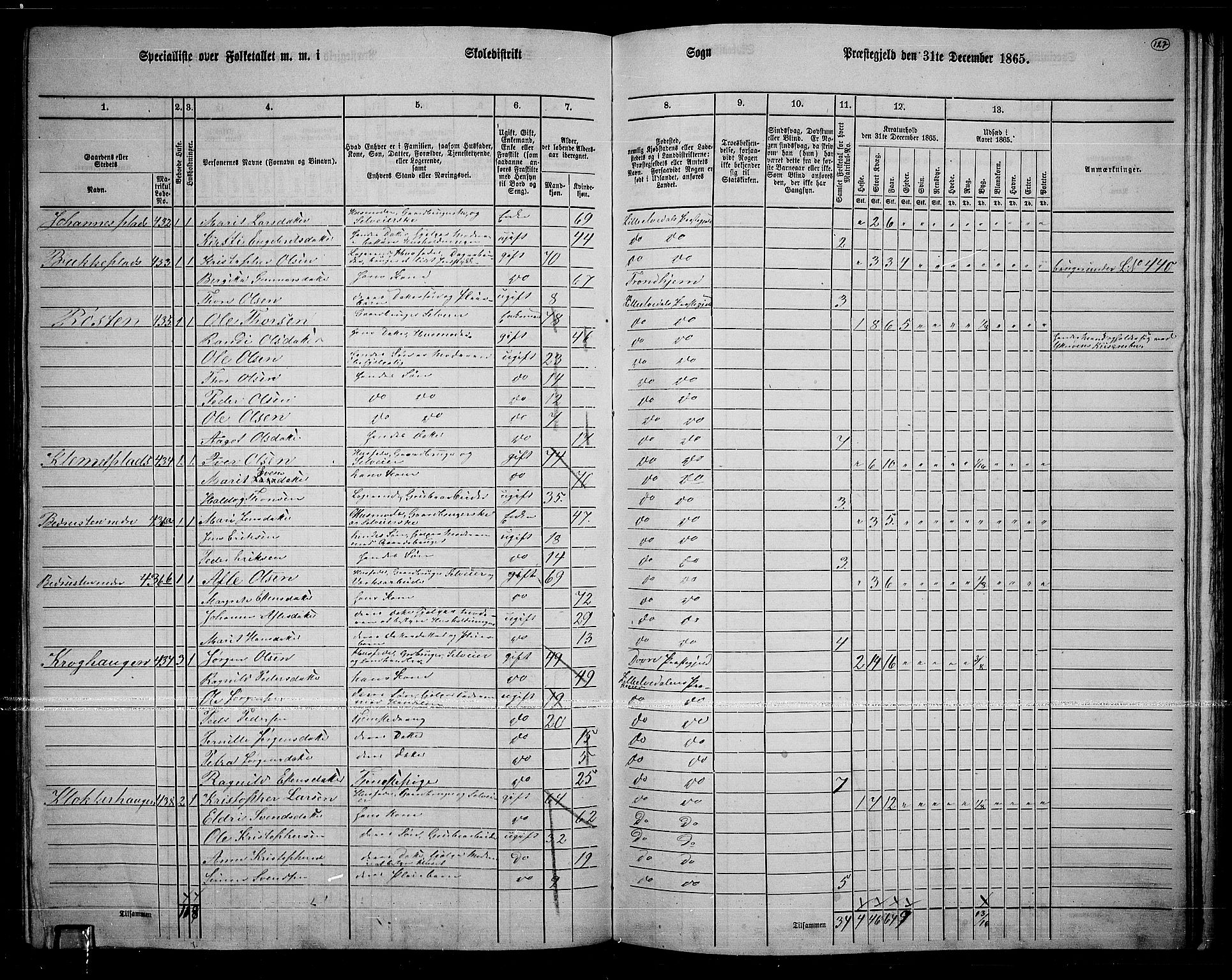 RA, 1865 census for Lille Elvedalen, 1865, p. 107