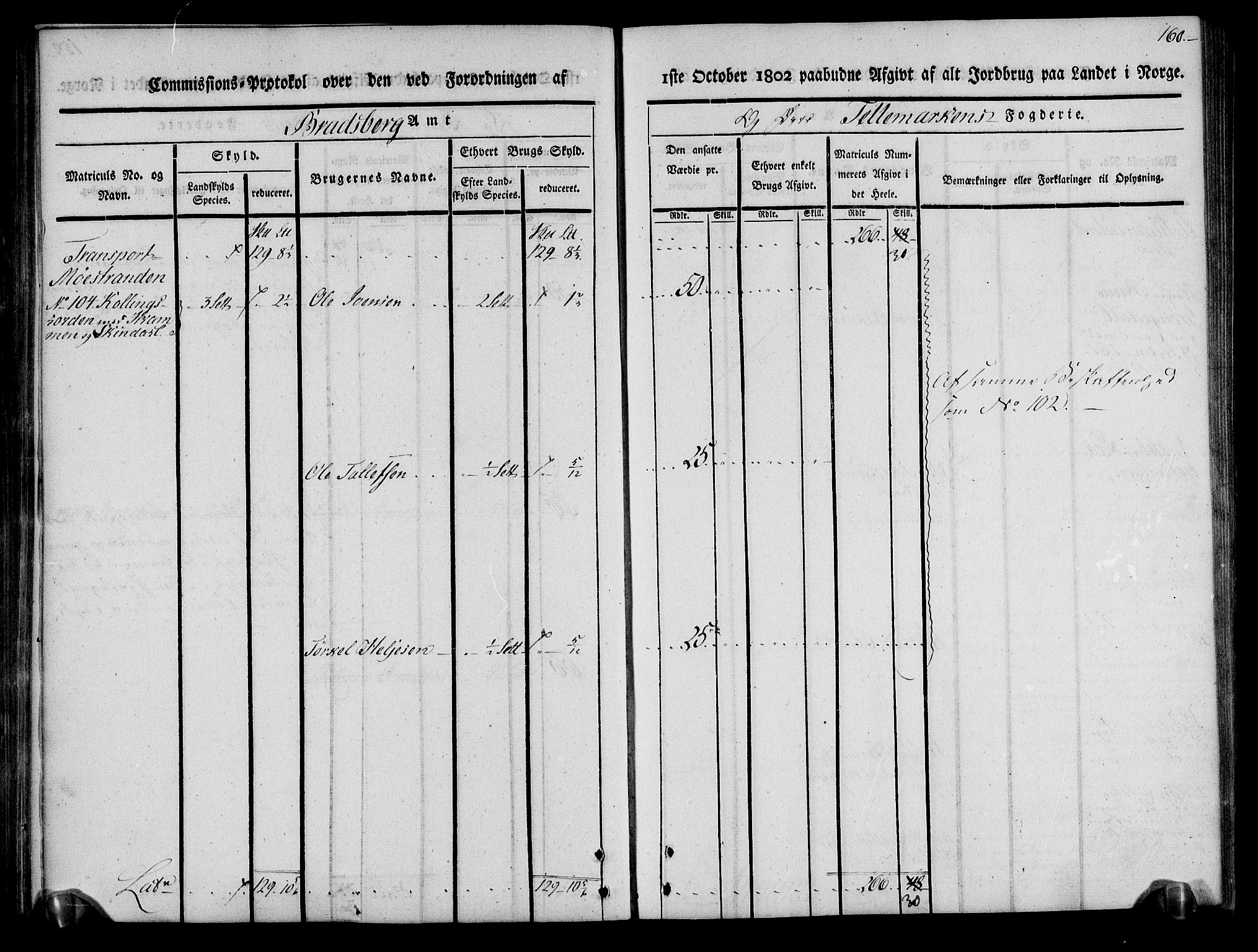 Rentekammeret inntil 1814, Realistisk ordnet avdeling, AV/RA-EA-4070/N/Ne/Nea/L0075: Øvre Telemarken fogderi. Kommisjonsprotokoll for fogderiets vestre del - Kviteseid, Vinje, Moland [):Fyresdal] og Lårdal prestegjeld., 1803, p. 162