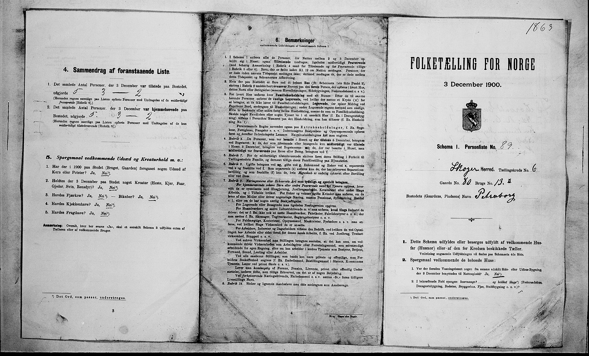 RA, 1900 census for Skoger, 1900, p. 1161