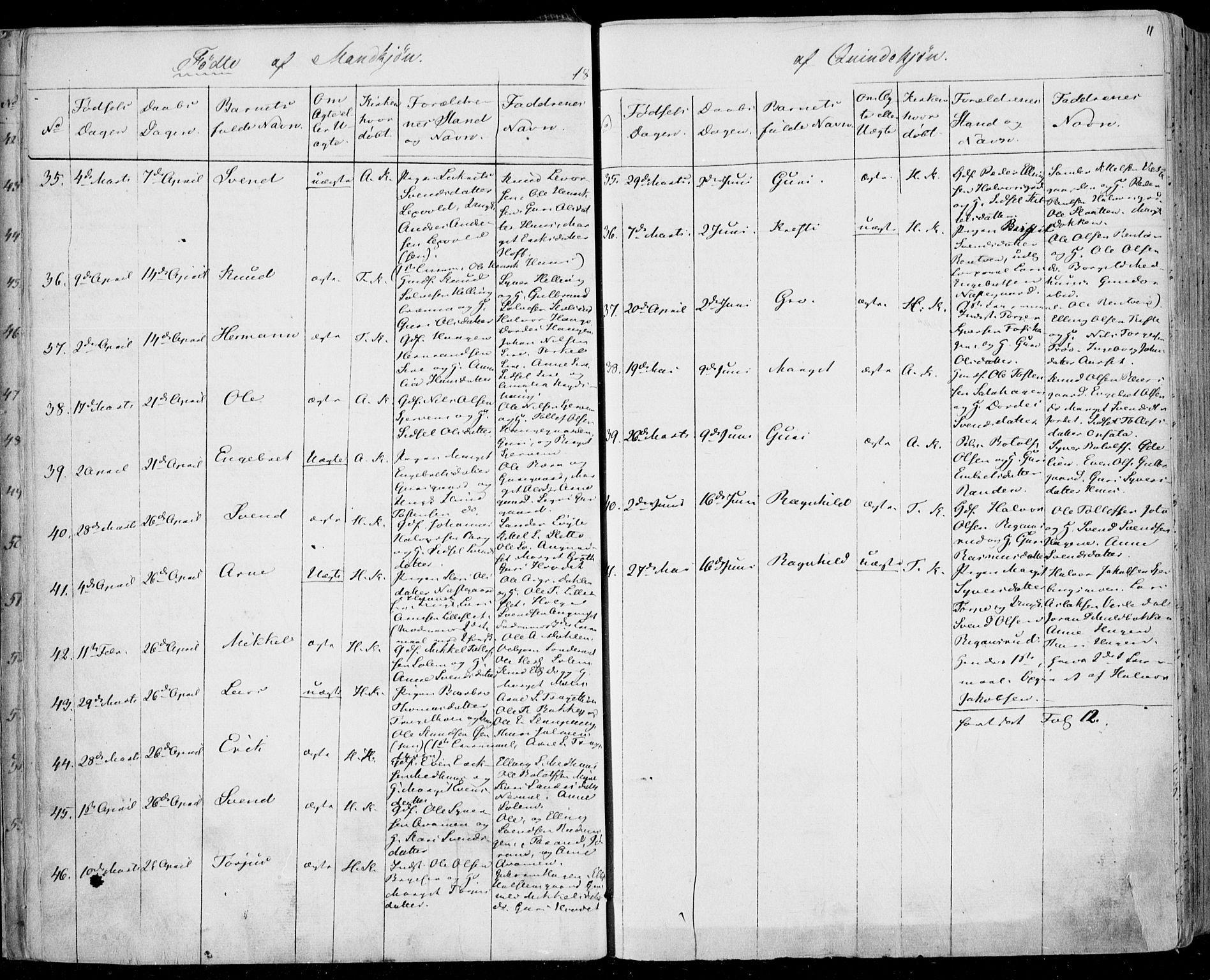 Ål kirkebøker, AV/SAKO-A-249/F/Fa/L0006: Parish register (official) no. I 6, 1849-1864, p. 11