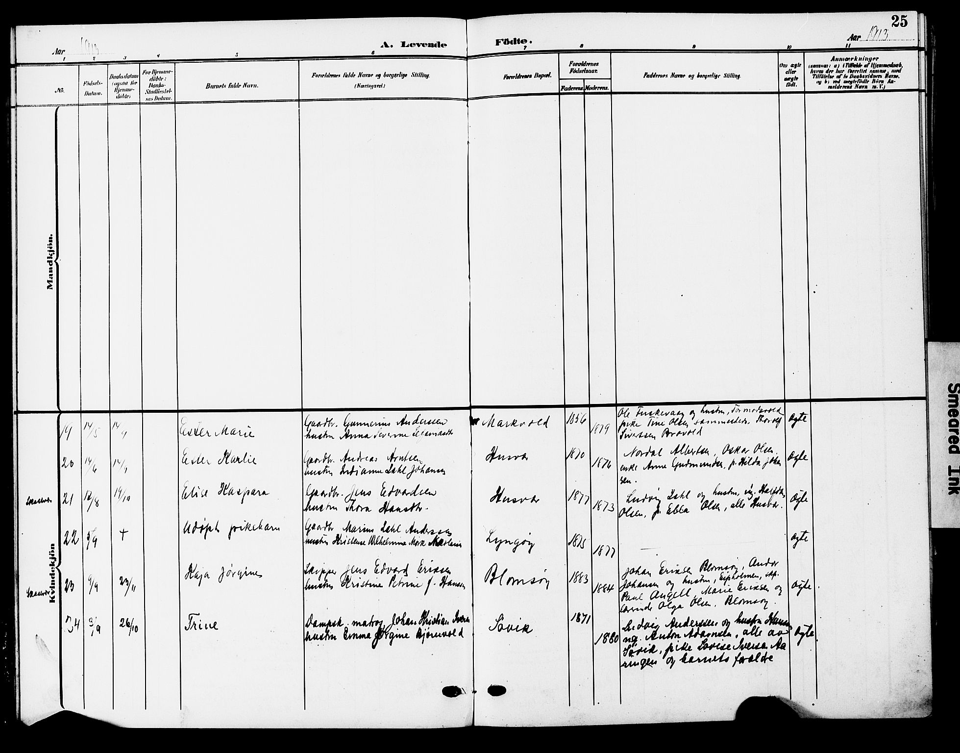 Ministerialprotokoller, klokkerbøker og fødselsregistre - Nordland, AV/SAT-A-1459/830/L0464: Parish register (copy) no. 830C06, 1906-1925, p. 25