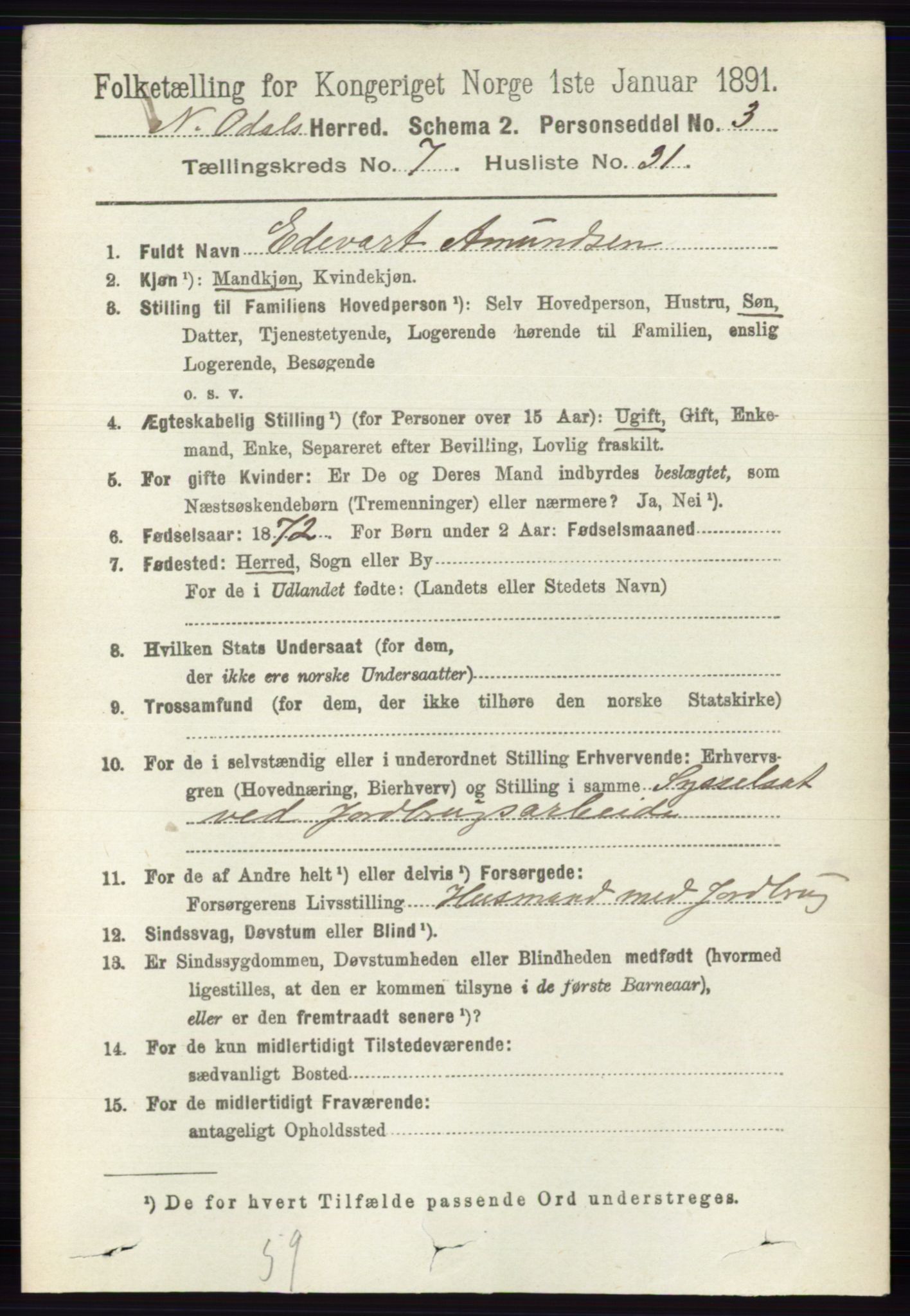 RA, 1891 census for 0418 Nord-Odal, 1891, p. 2995