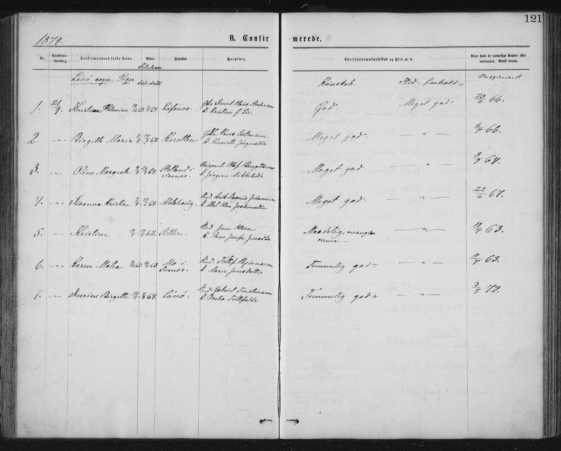 Ministerialprotokoller, klokkerbøker og fødselsregistre - Nord-Trøndelag, AV/SAT-A-1458/771/L0596: Parish register (official) no. 771A03, 1870-1884, p. 121