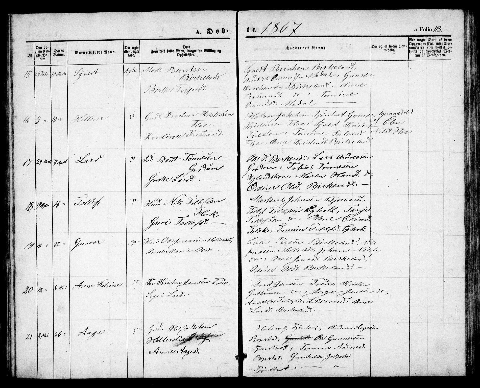 Birkenes sokneprestkontor, AV/SAK-1111-0004/F/Fb/L0002: Parish register (copy) no. B 2, 1849-1876, p. 113