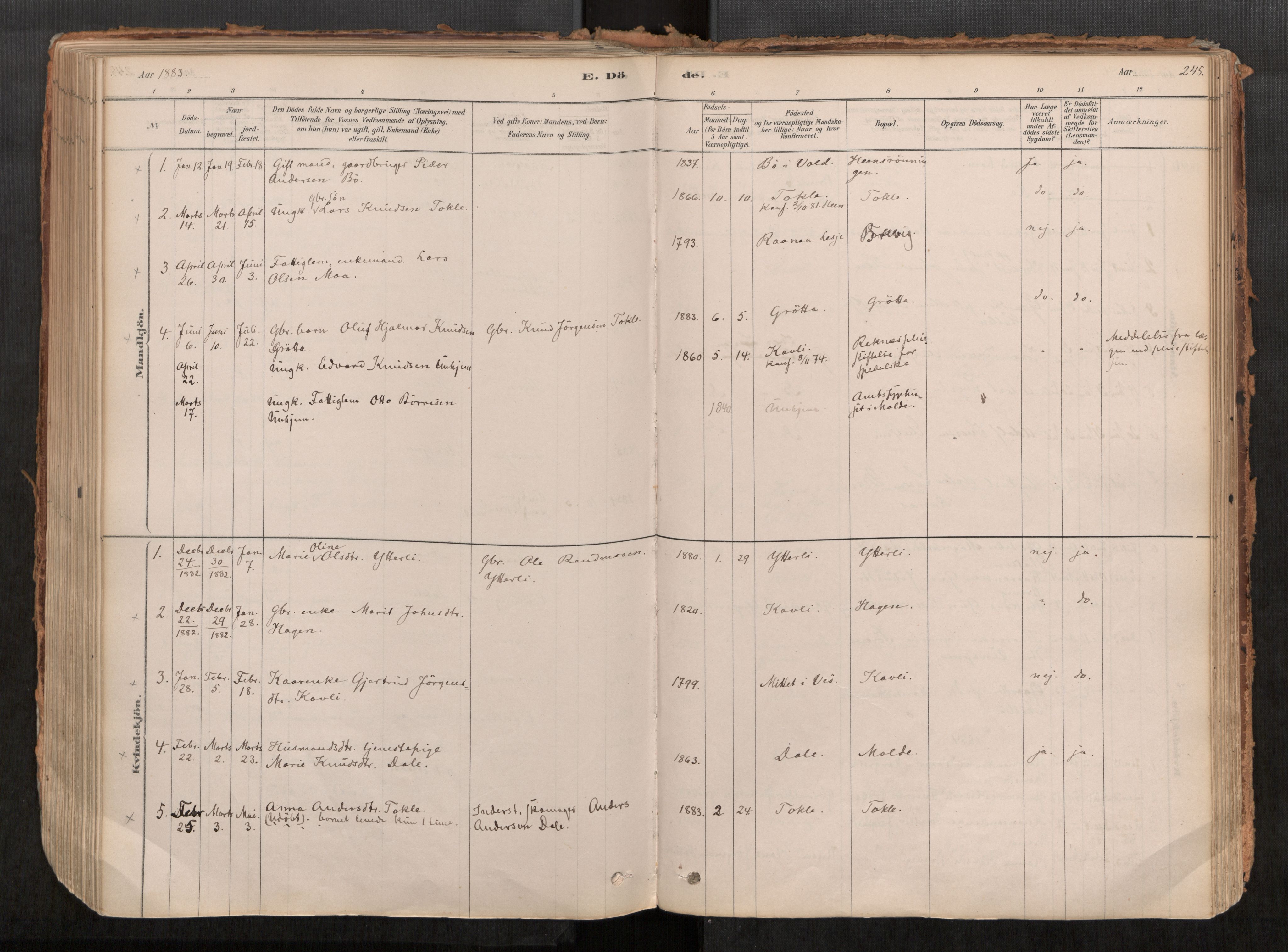 Ministerialprotokoller, klokkerbøker og fødselsregistre - Møre og Romsdal, SAT/A-1454/545/L0594: Parish register (official) no. 545A03, 1878-1920, p. 245