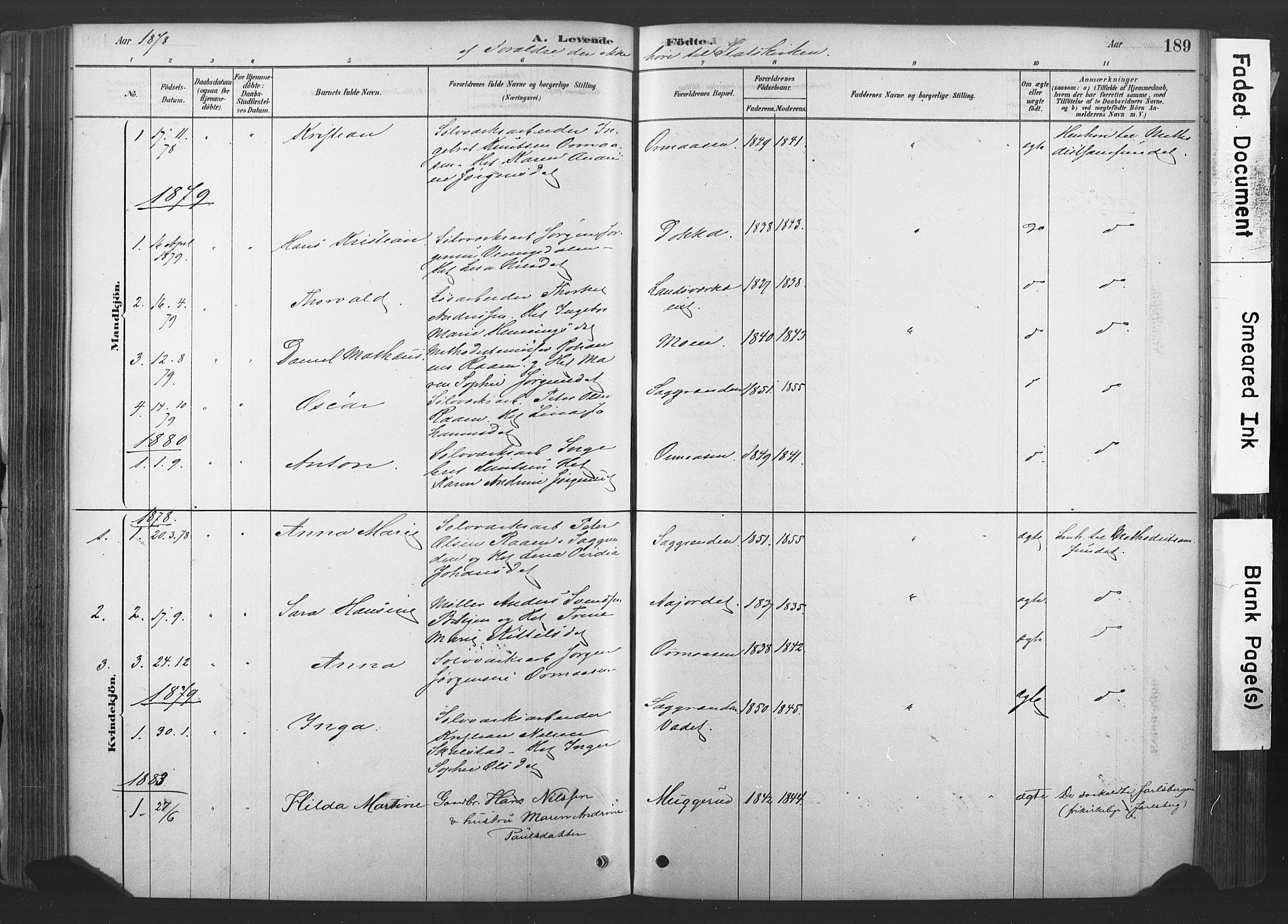 Sandsvær kirkebøker, SAKO/A-244/F/Fd/L0001: Parish register (official) no. IV 1, 1878-1906, p. 189