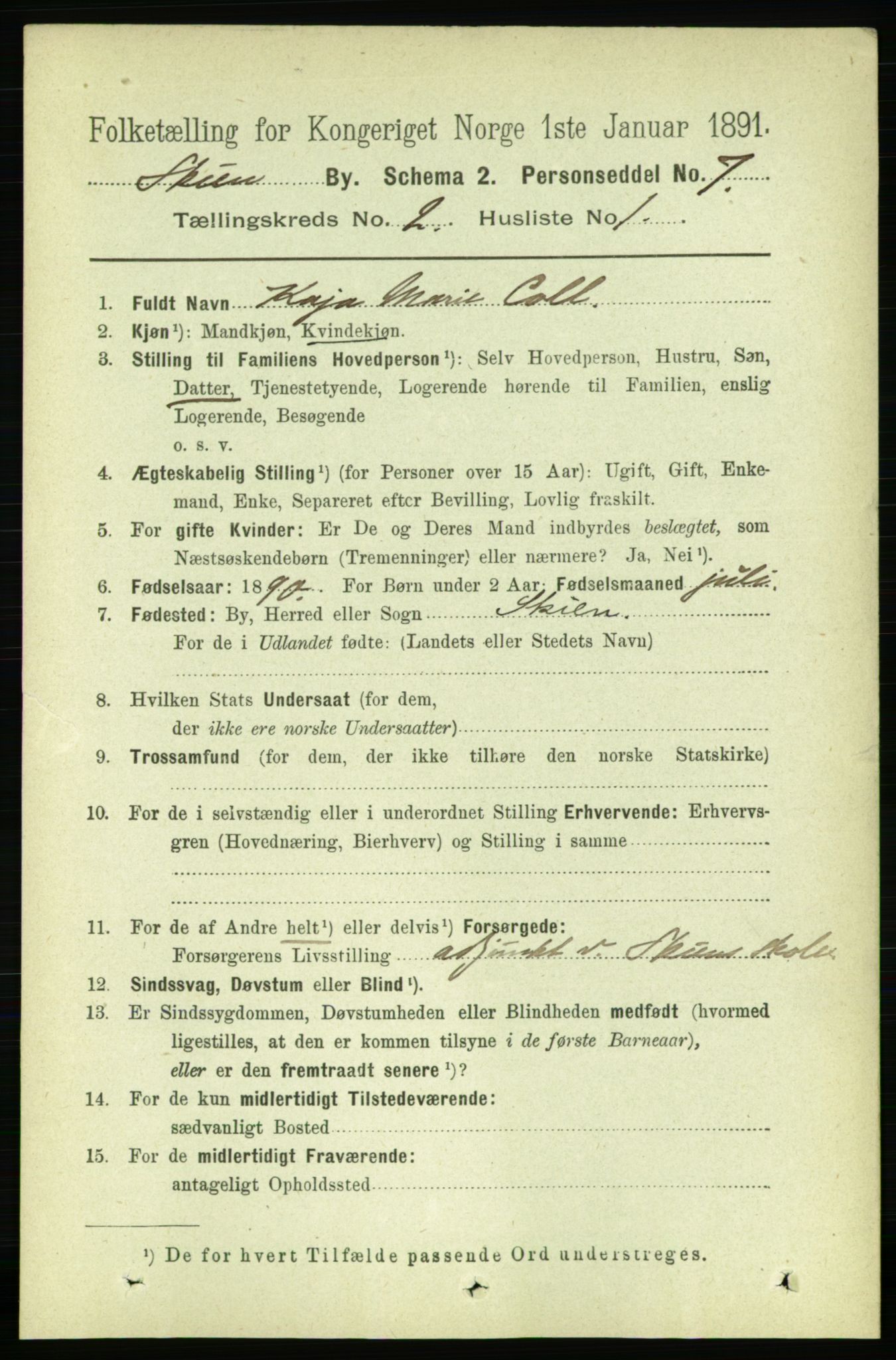 RA, 1891 census for 0806 Skien, 1891, p. 2315