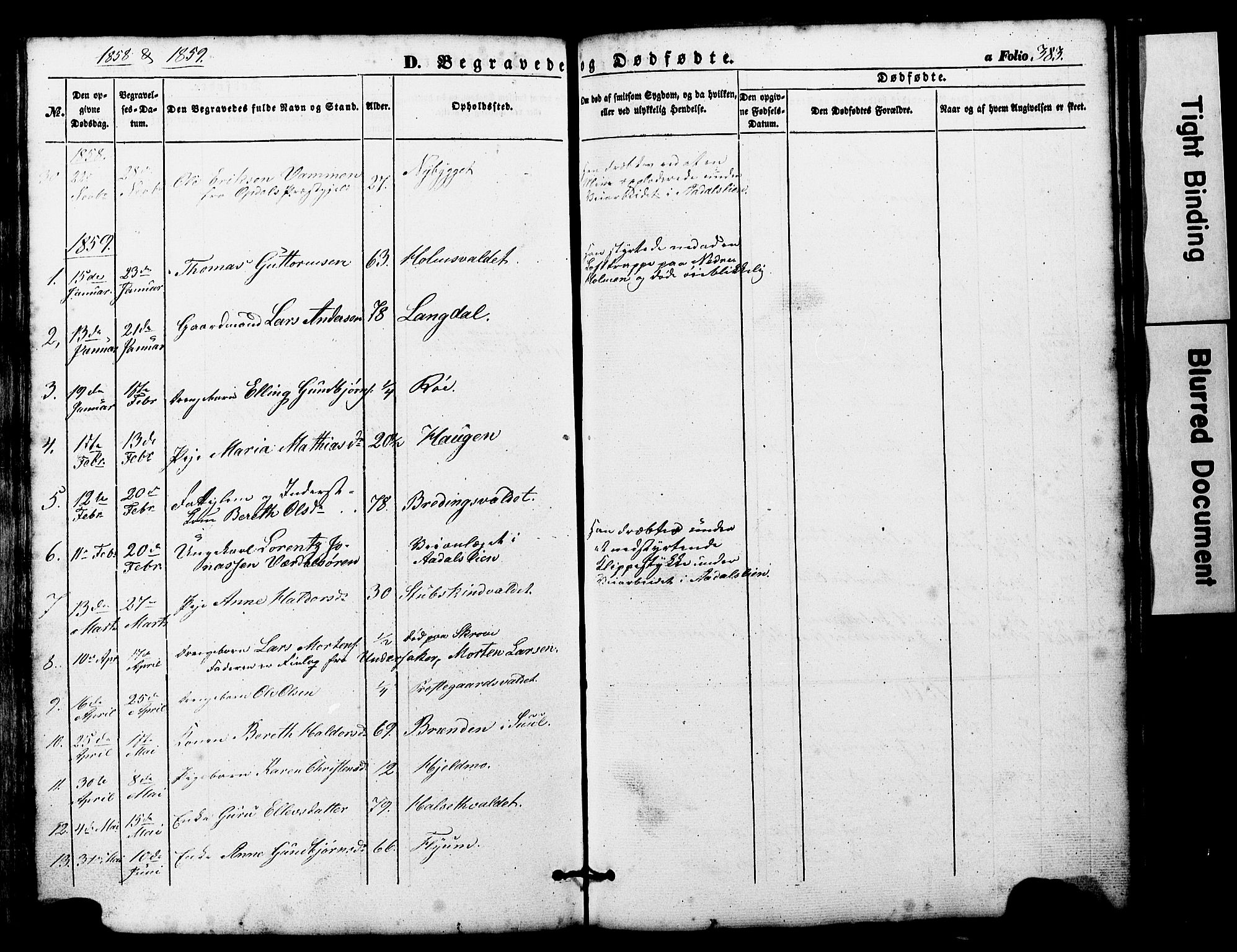 Ministerialprotokoller, klokkerbøker og fødselsregistre - Nord-Trøndelag, AV/SAT-A-1458/724/L0268: Parish register (copy) no. 724C04, 1846-1878, p. 383