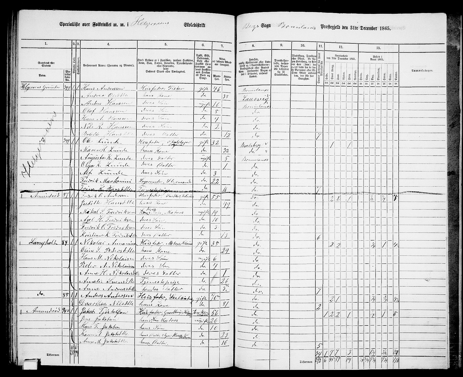 RA, 1865 census for Brunlanes, 1865, p. 169