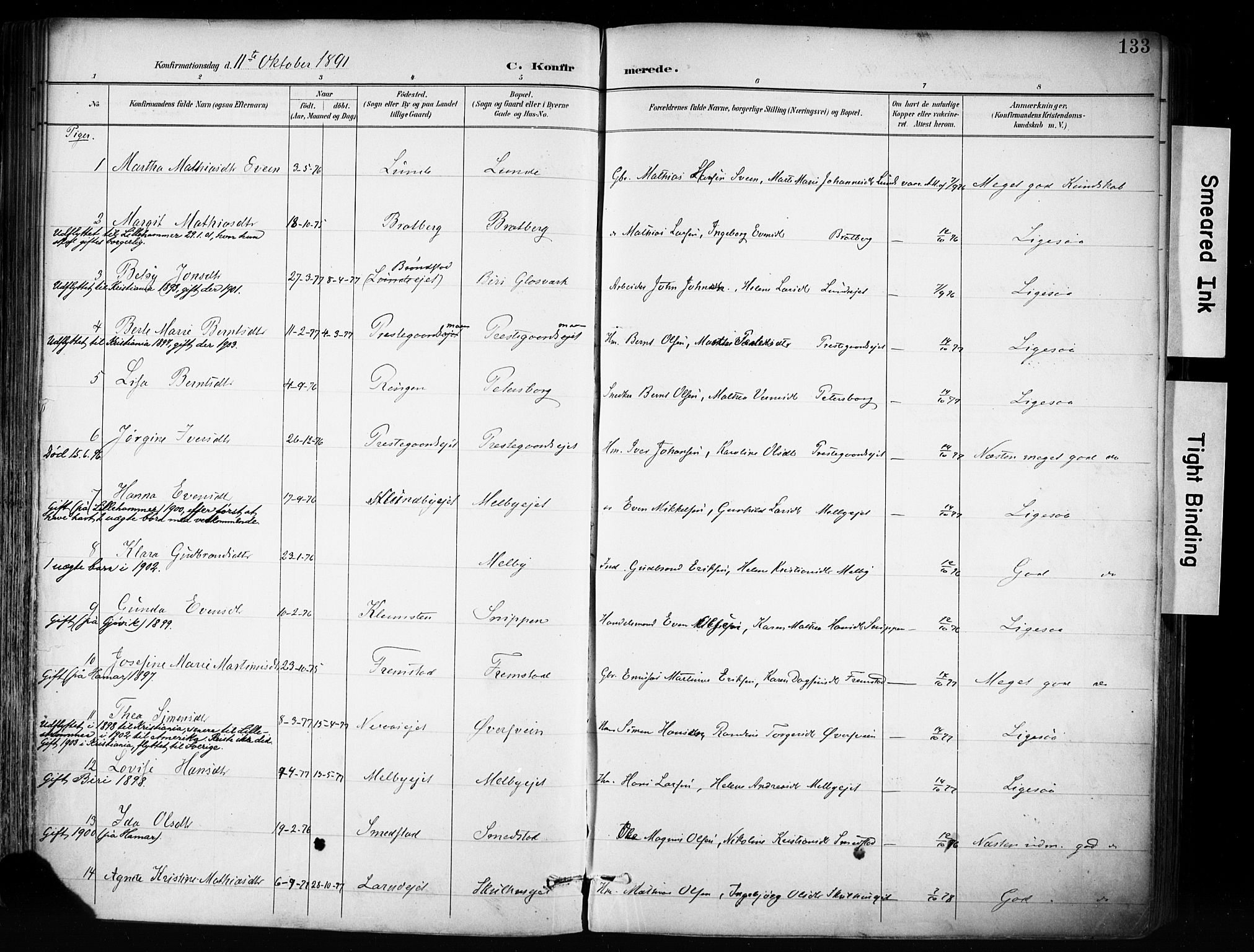 Biri prestekontor, SAH/PREST-096/H/Ha/Haa/L0009: Parish register (official) no. 9, 1887-1900, p. 133