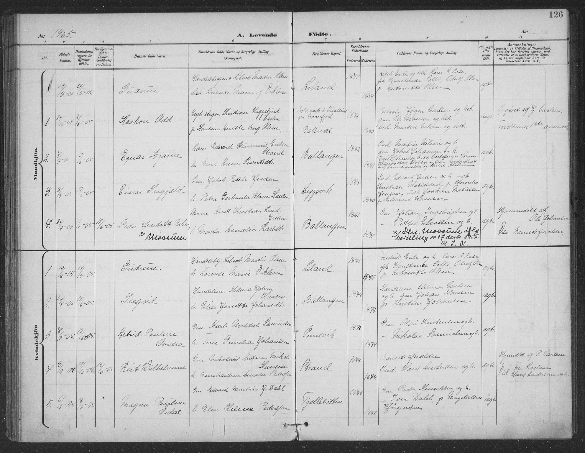 Ministerialprotokoller, klokkerbøker og fødselsregistre - Nordland, SAT/A-1459/863/L0899: Parish register (official) no. 863A11, 1897-1906, p. 126